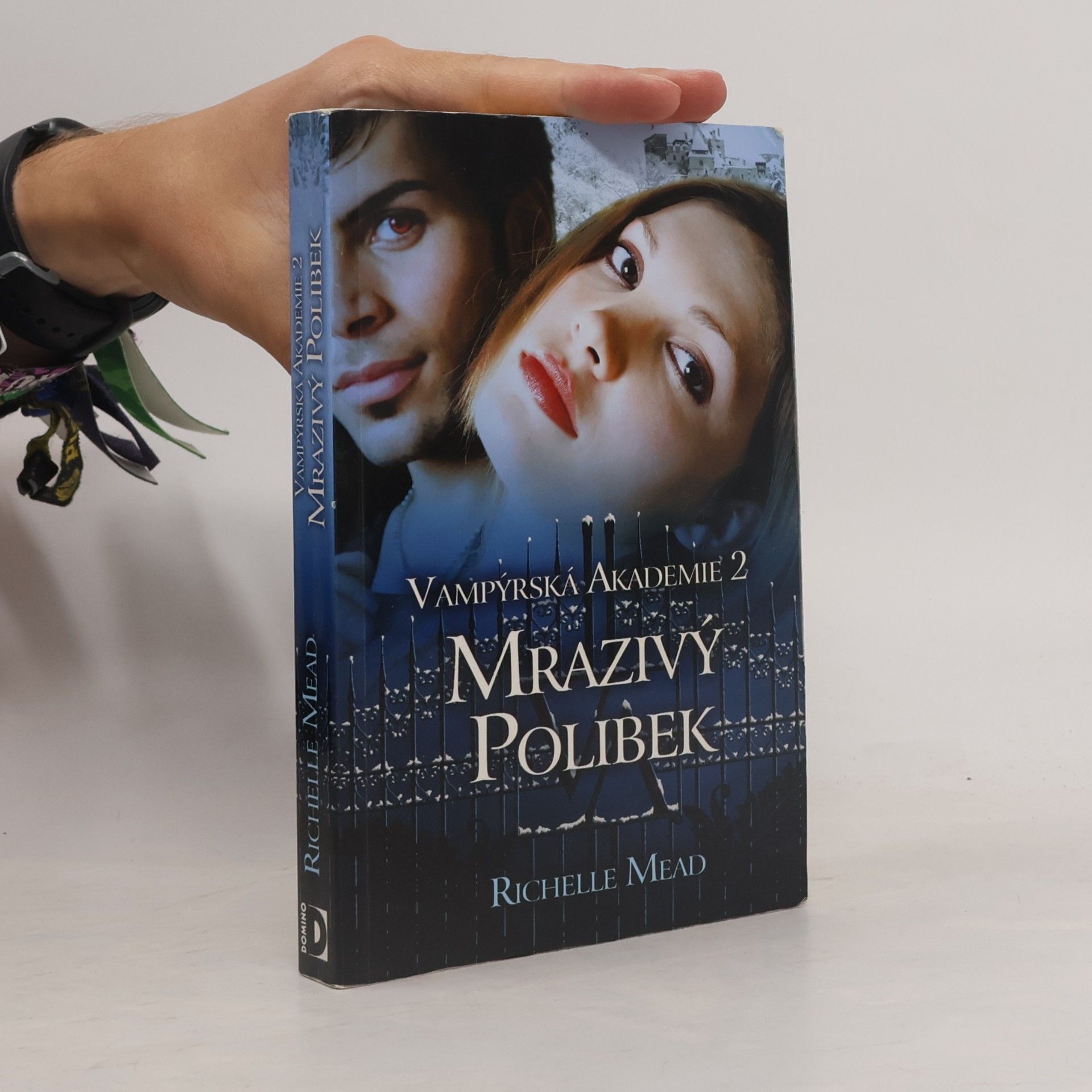 Vampýrská akademie 2: Mrazivý polibek