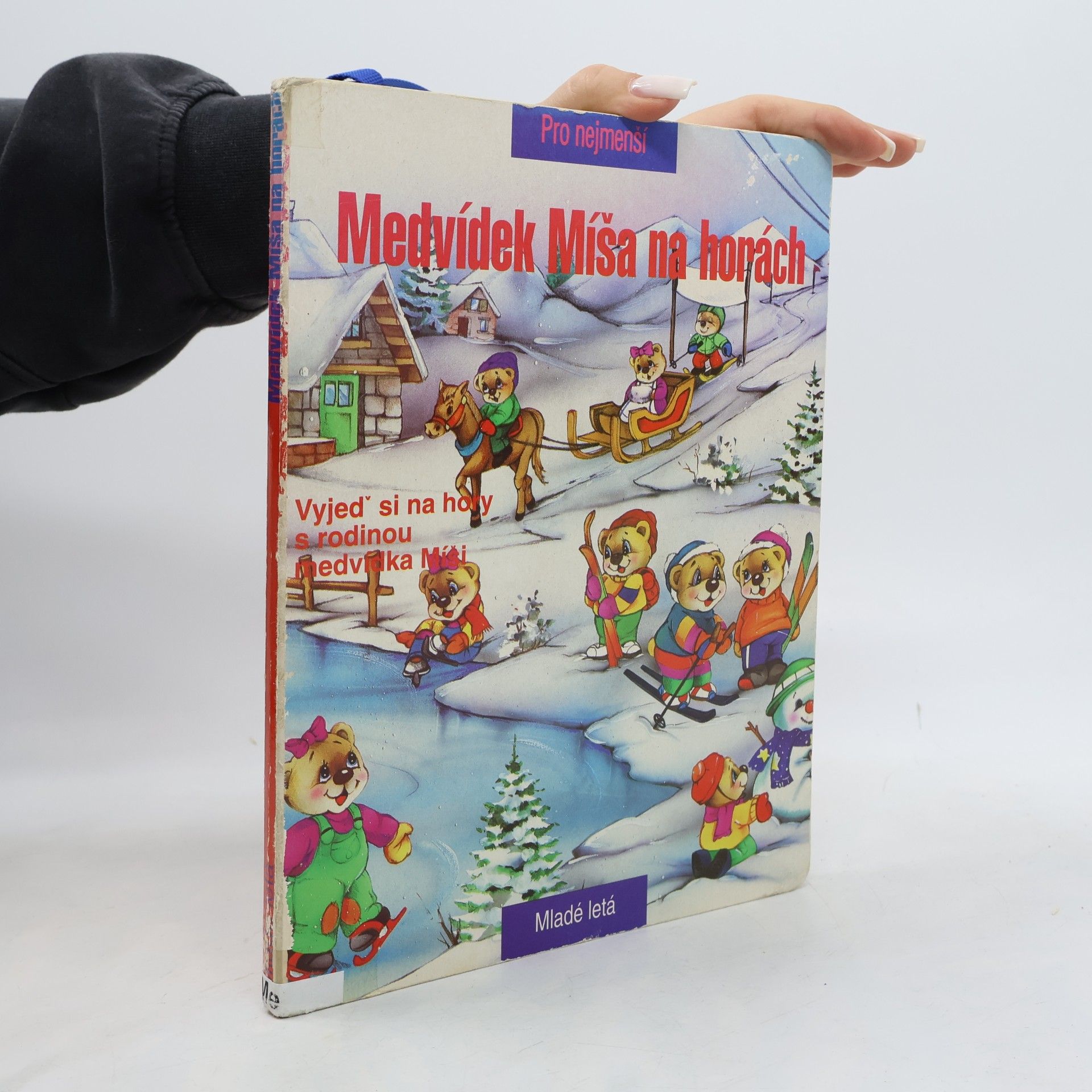 Medvídek Míša na horách