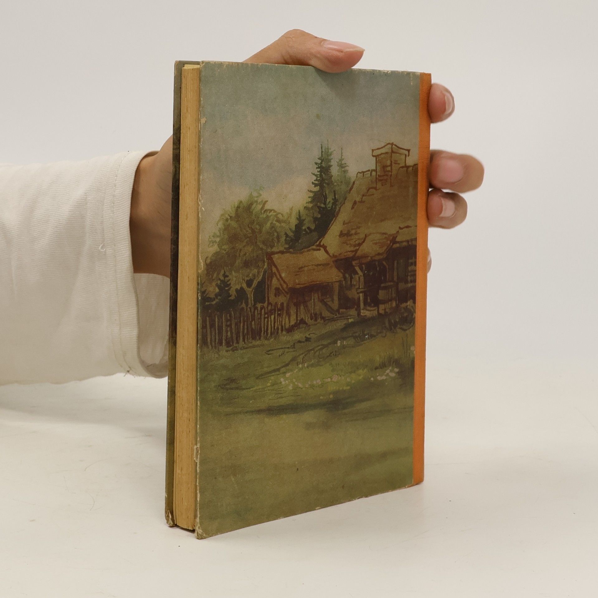 Alfred Otto Schwede Neue Wege mit Silvester