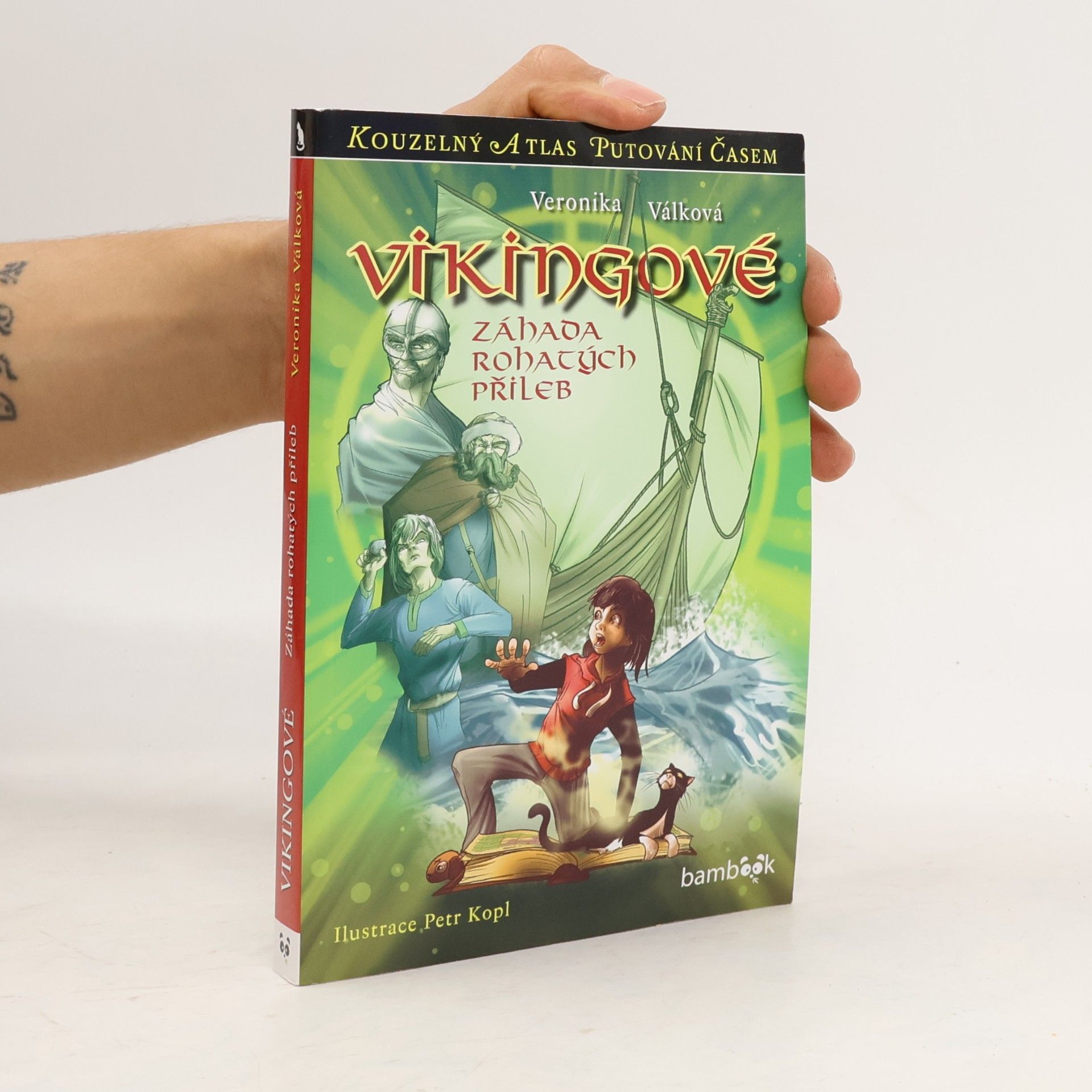 Vikingové. Záhada rohatých přileb