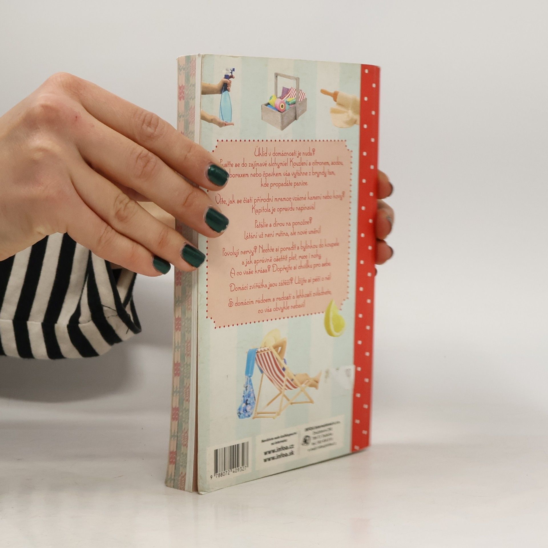 Various authors Rady pro domácnost, aneb Dokonalá paní domu