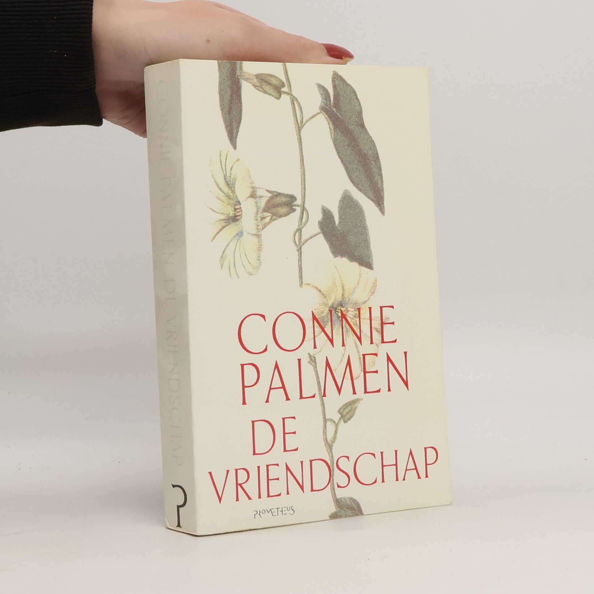 Connie Palmen De vriendschap