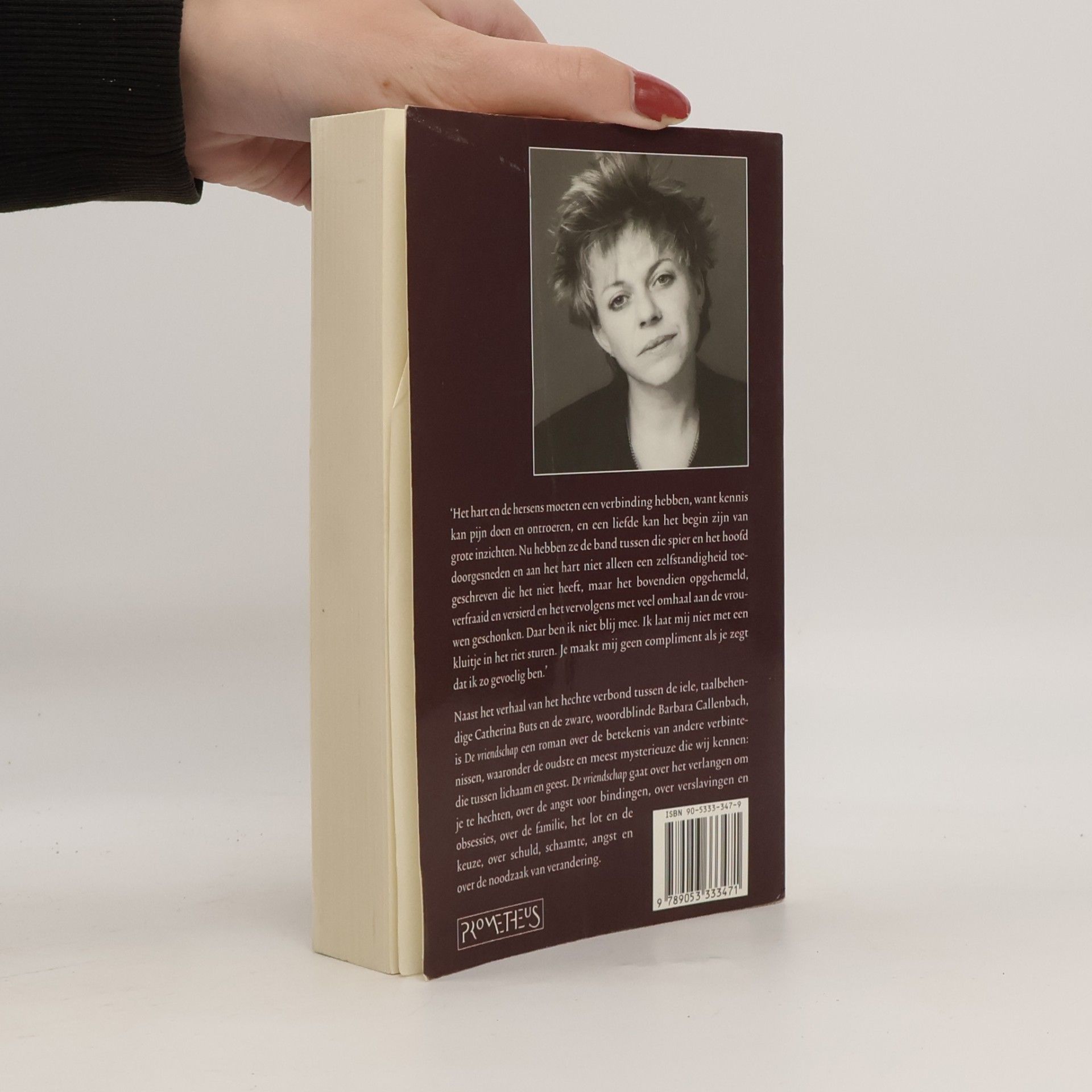 Connie Palmen De vriendschap