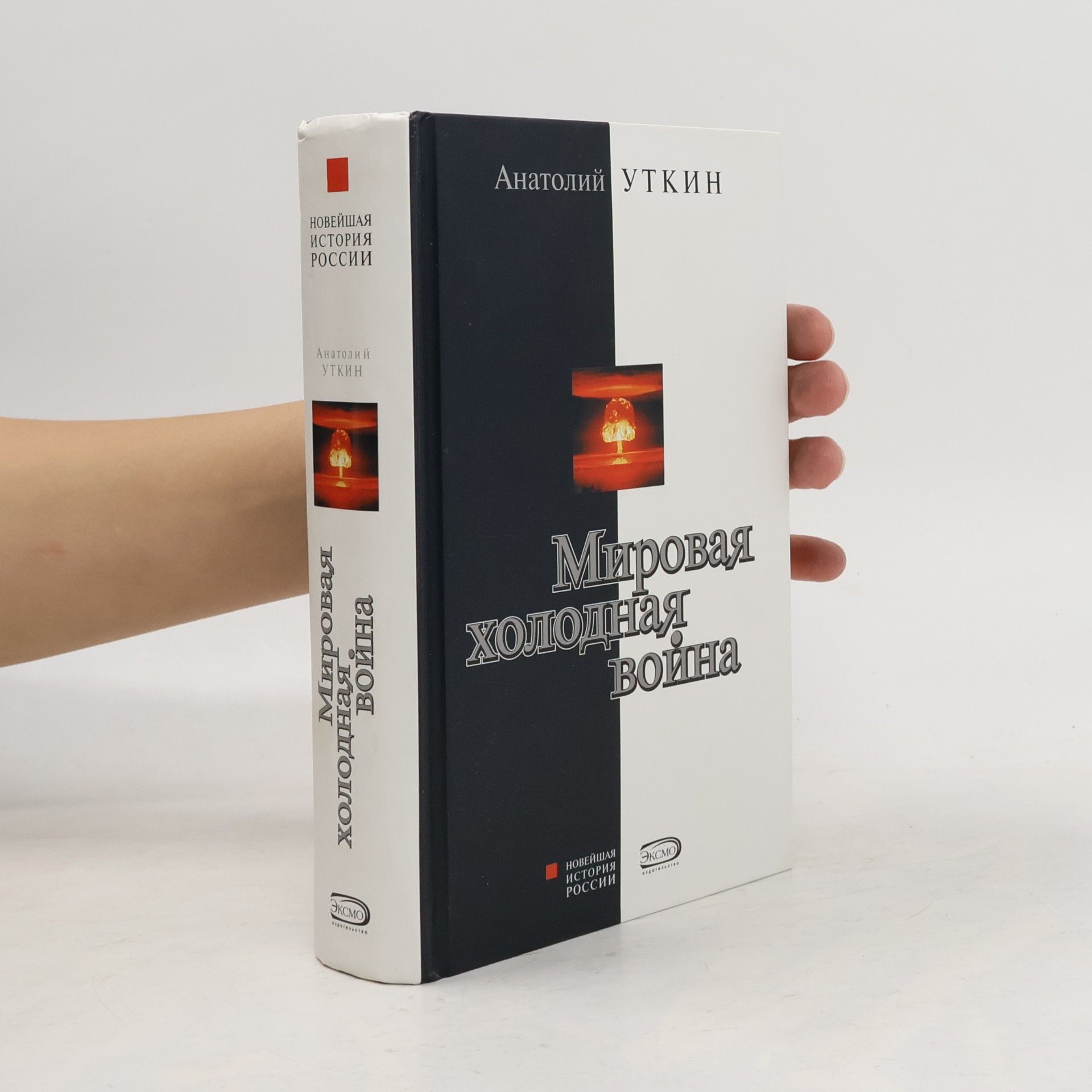 Анатолий Иванович Уткин Новейшая история России: Мировая холодная война