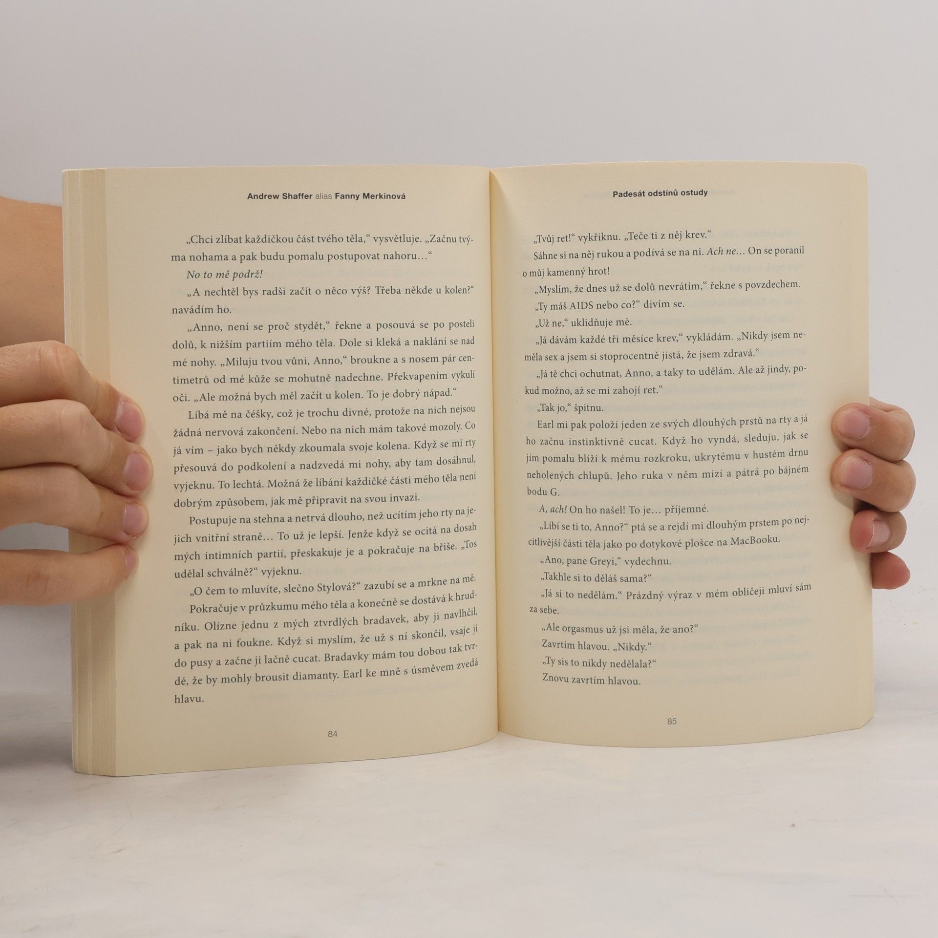 Andrew Shaffer Padesát odstínů ostudy