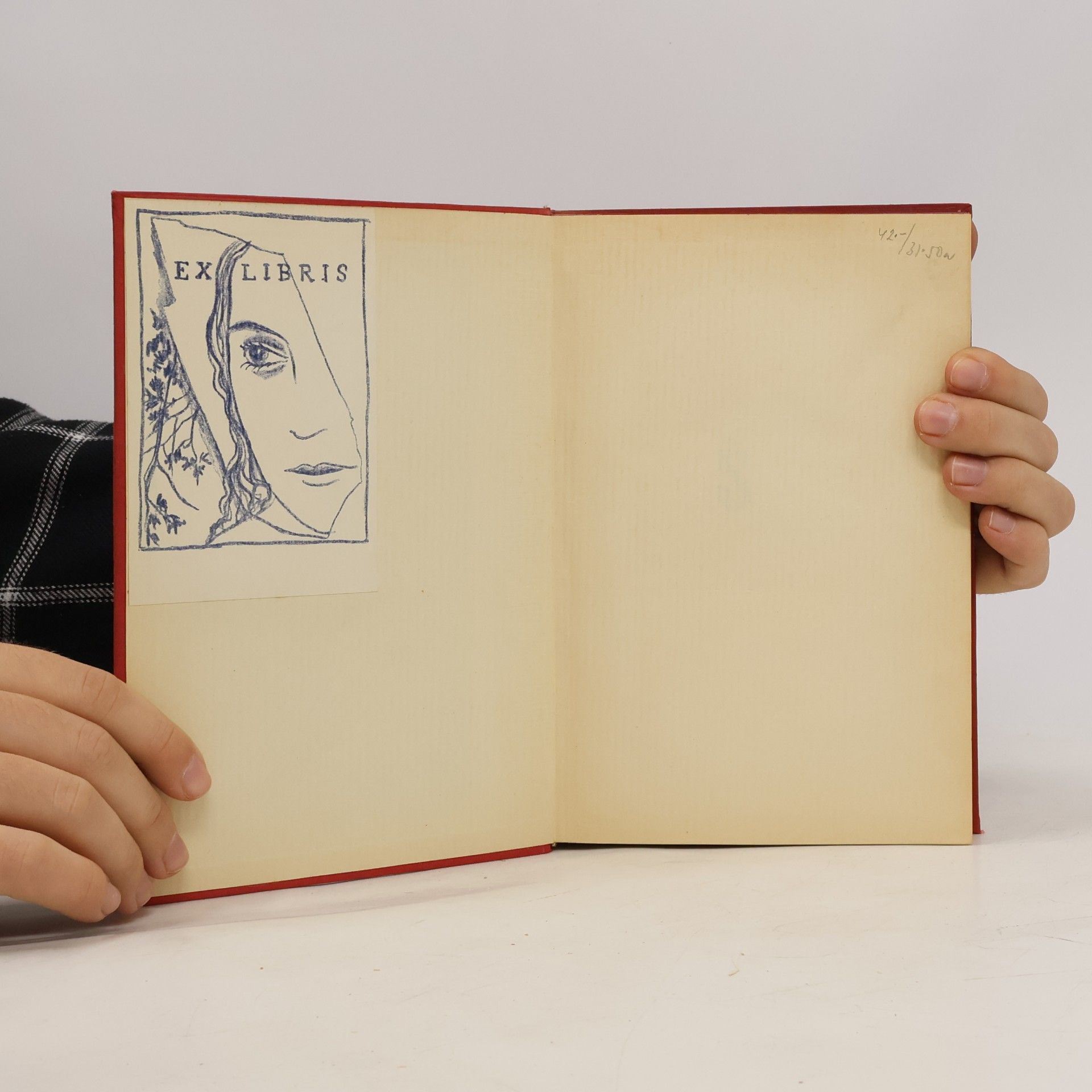 D. H. Lawrence Panna a cikán
