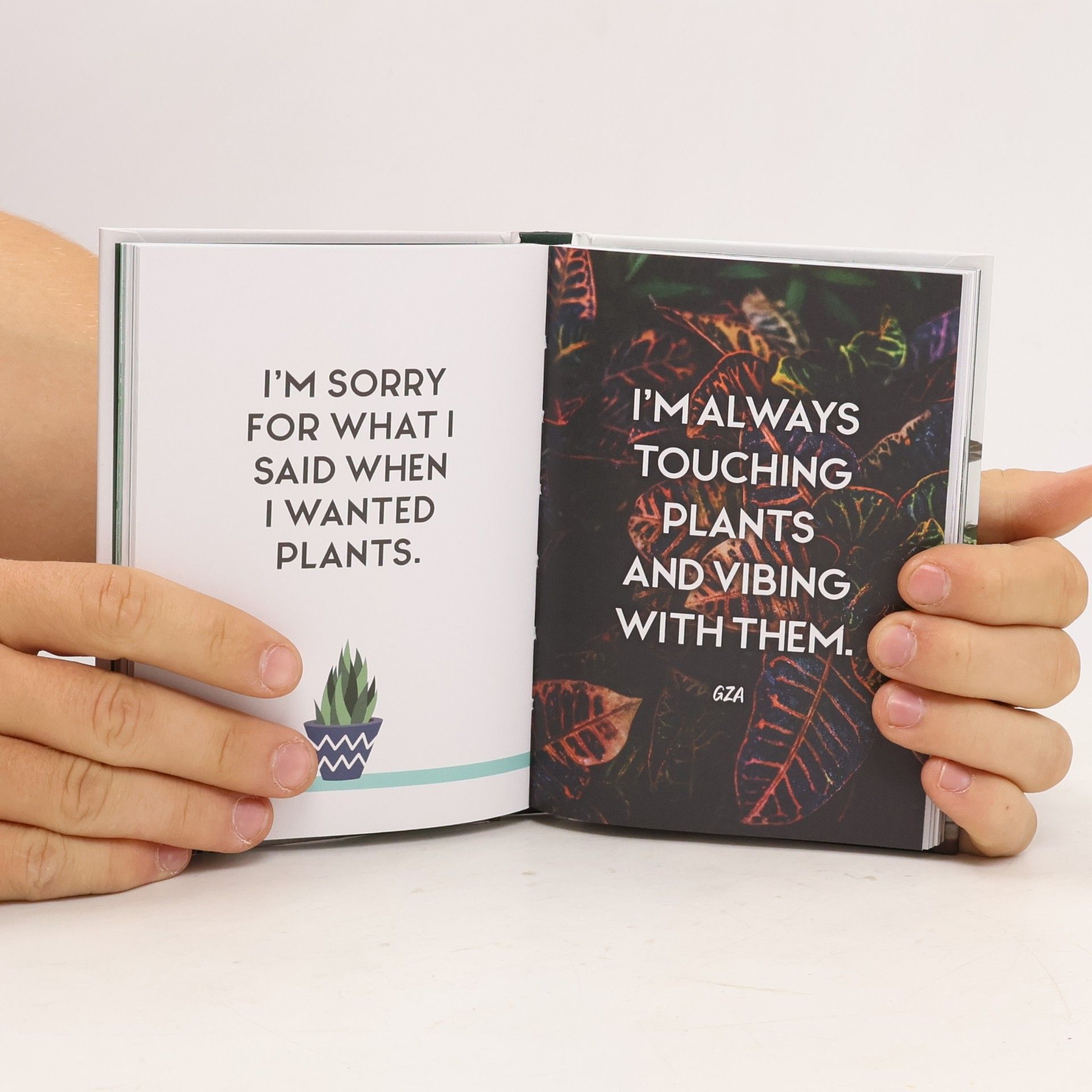 Felicity Hart The Little Book for Plant Parents