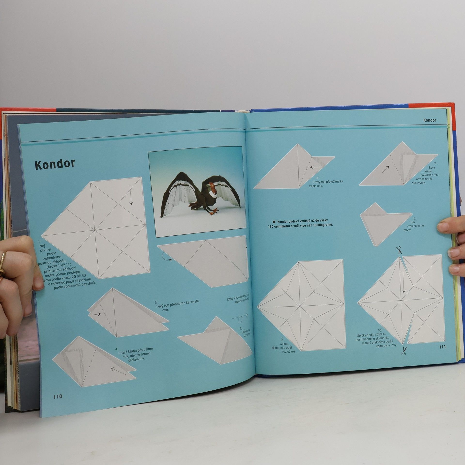 Héctor Rojas F Fascinující svět origami zvířátek