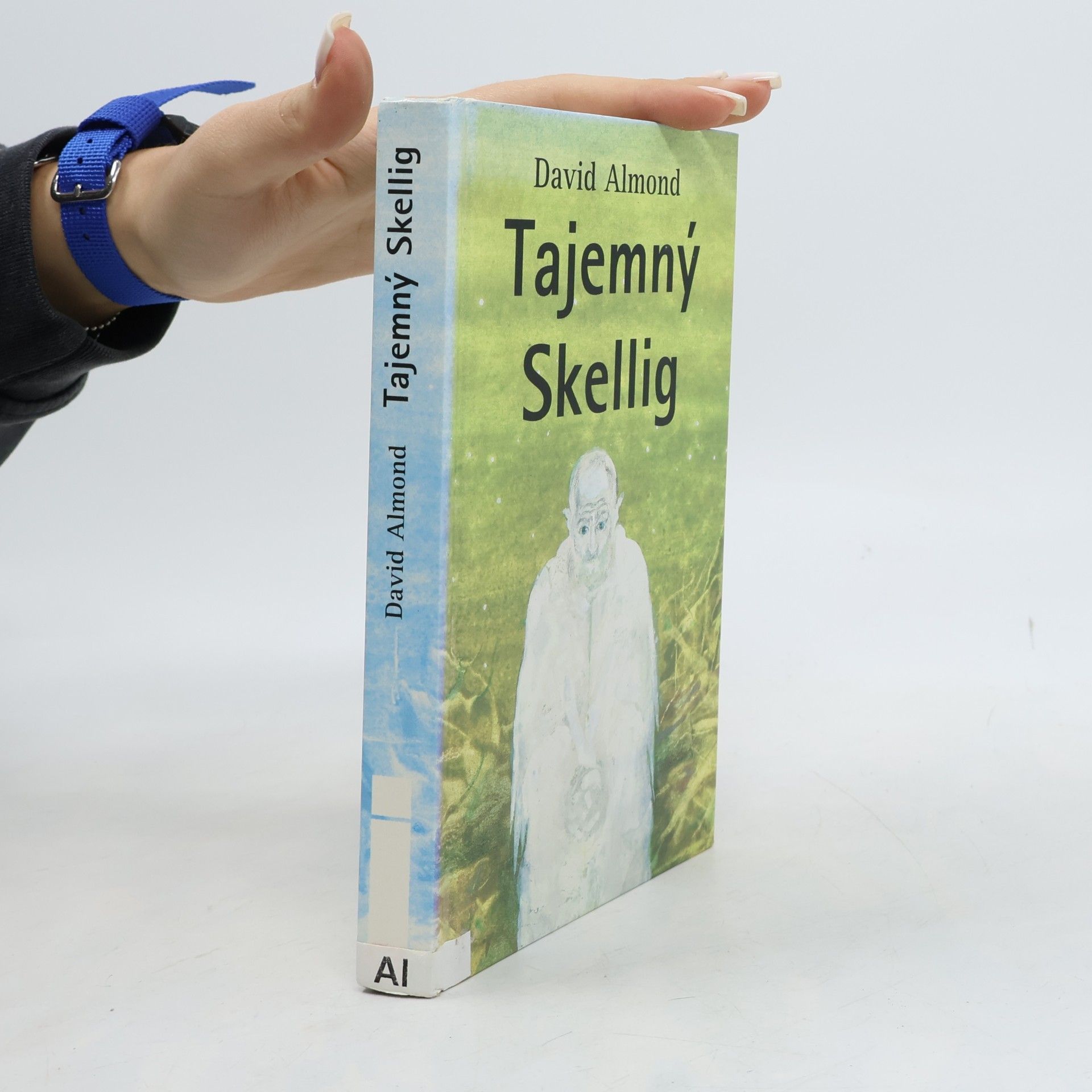 David Almond Tajemný Skellig