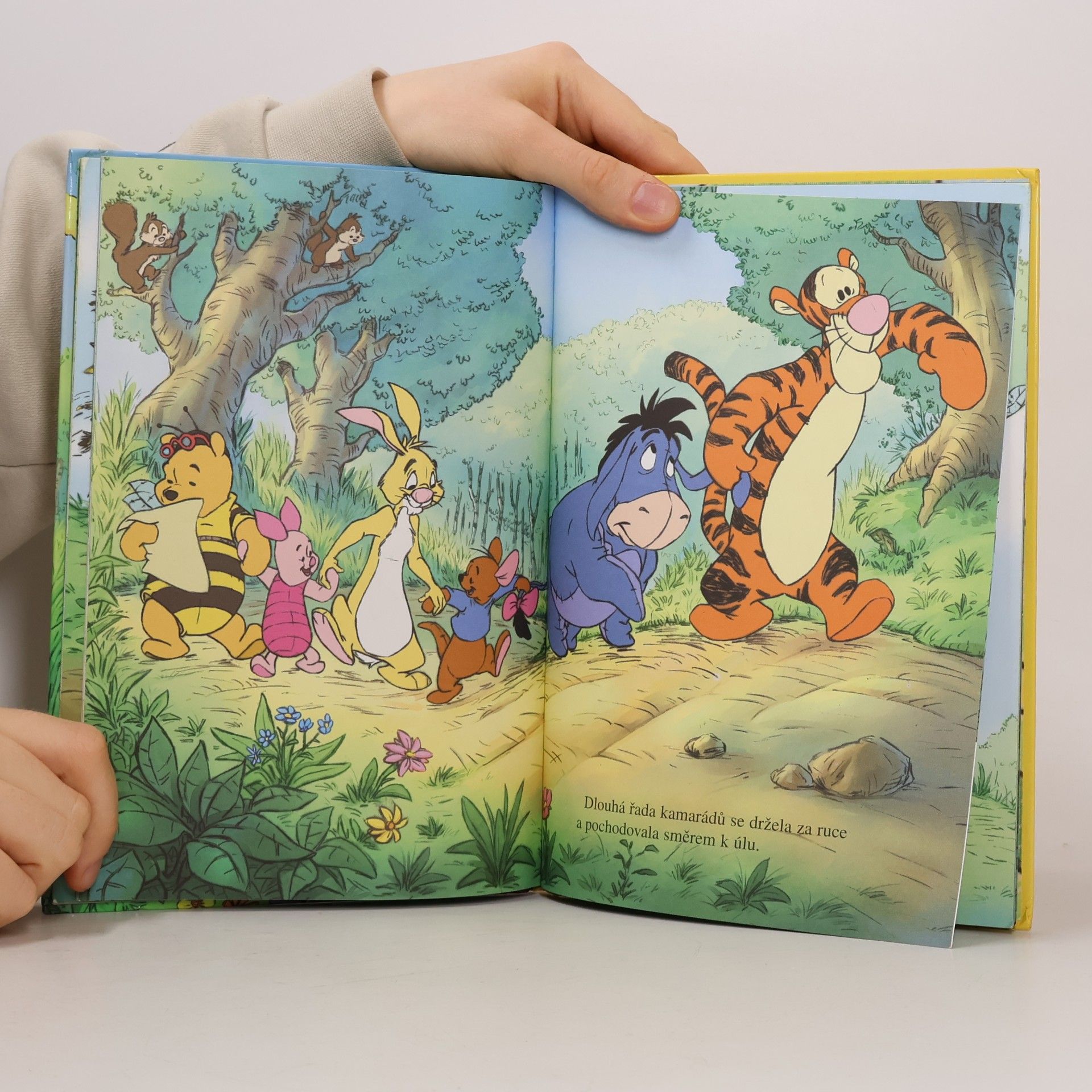 Walt Disney Medvídek Pú a obří včely
