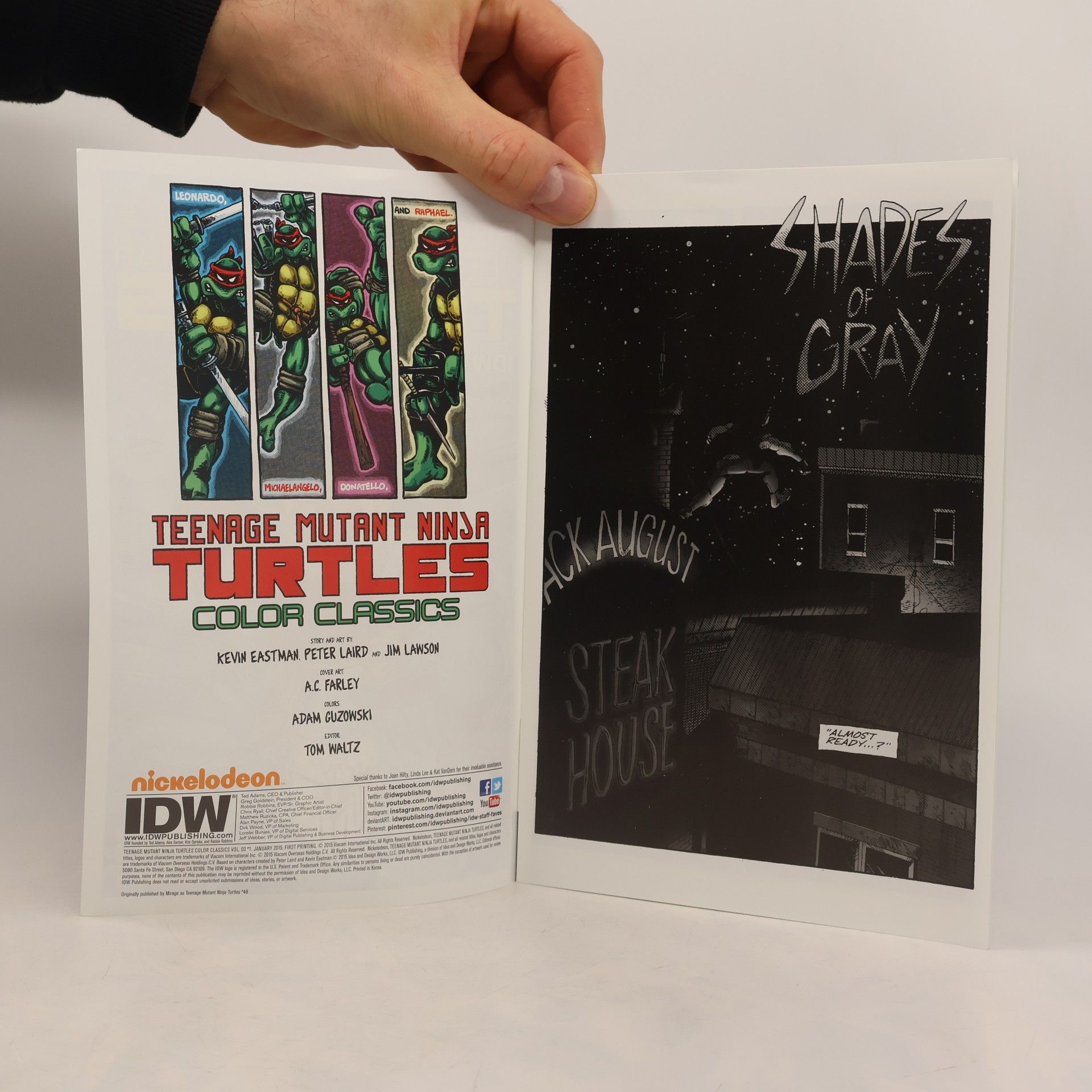 Kevin B. Eastman Teenage Mutant Ninja Turtles. Color Classics 3