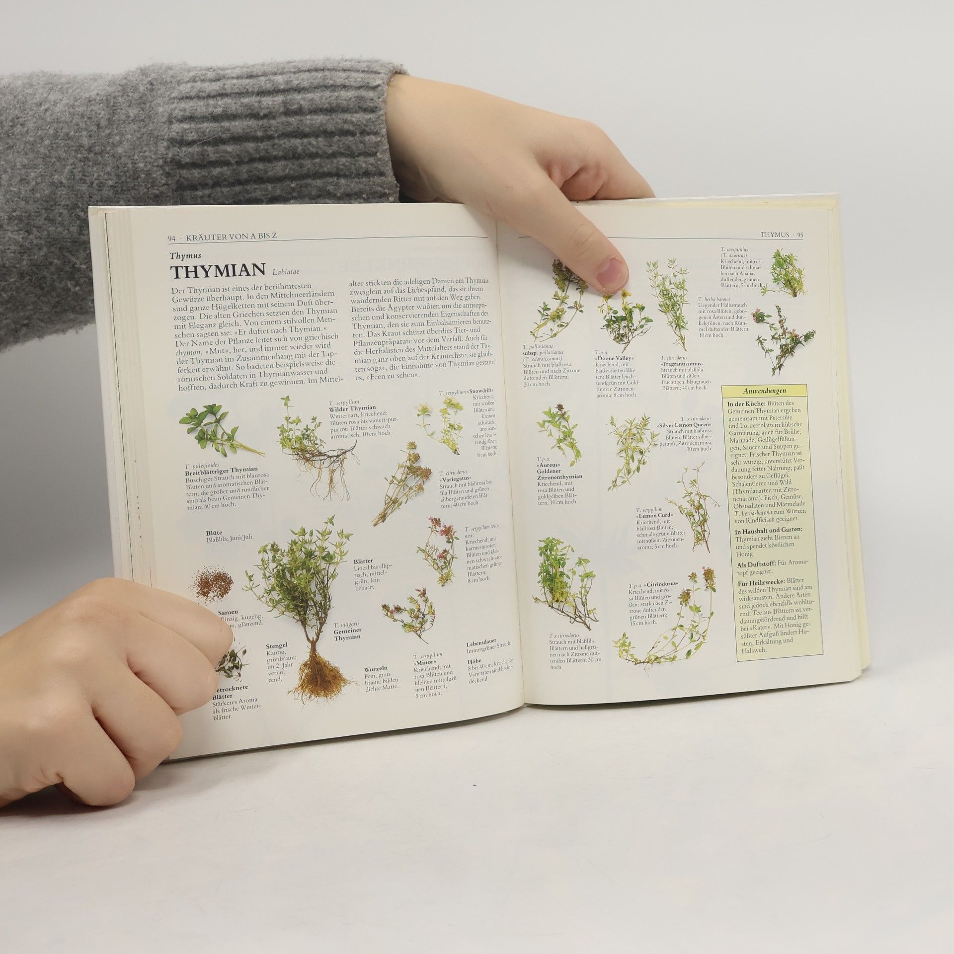 Susanne Härtel Hausbuch der Kräuter