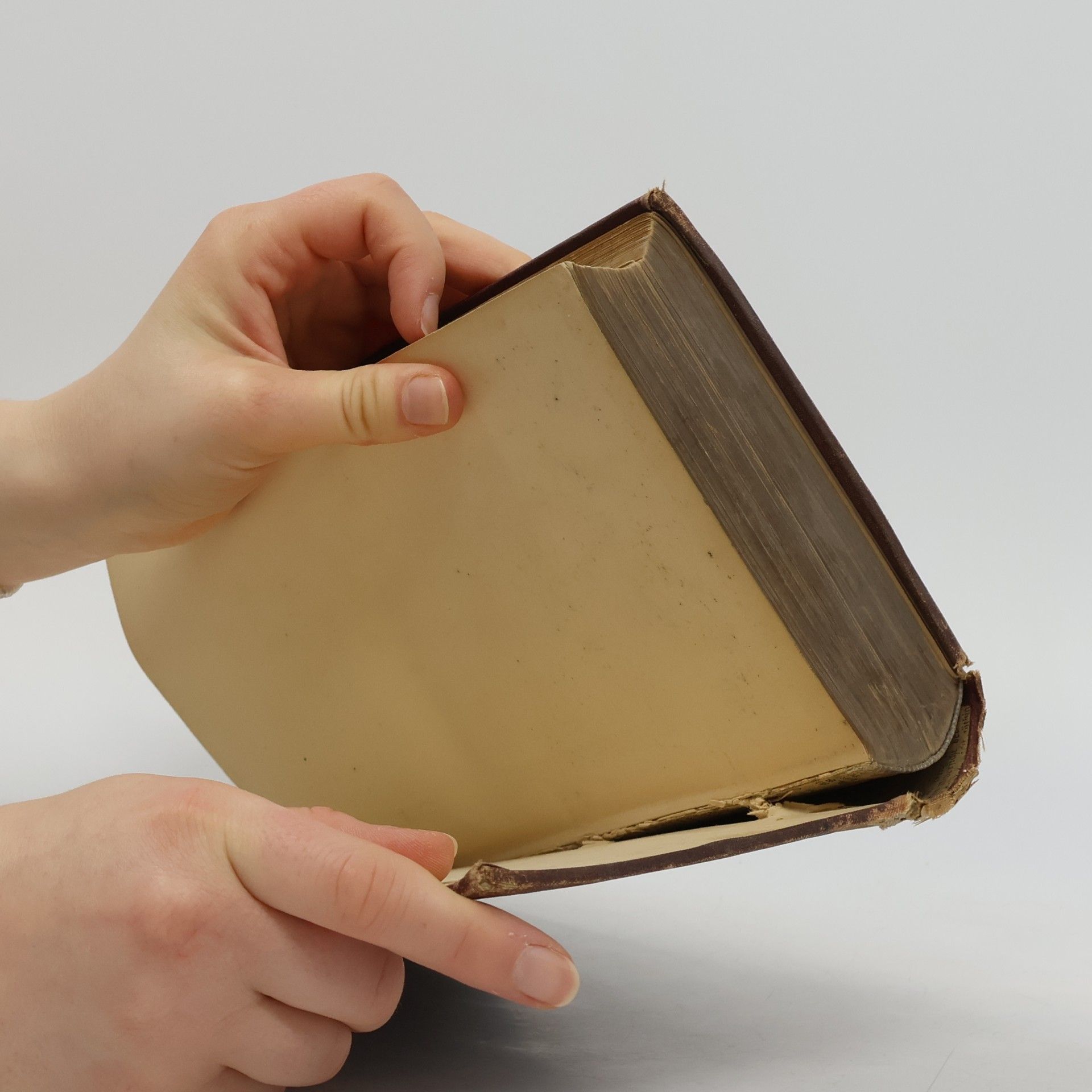 Franz Grillparzer Sämmtliche Werke 5