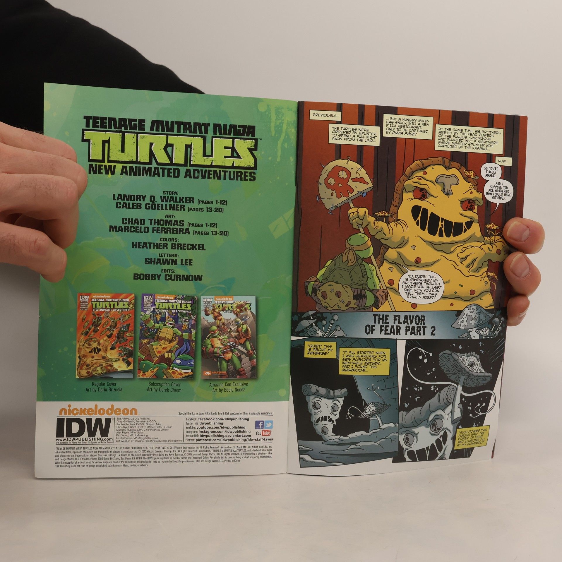 Kolektív autorov Teenage Mutant Ninja Turtles 20