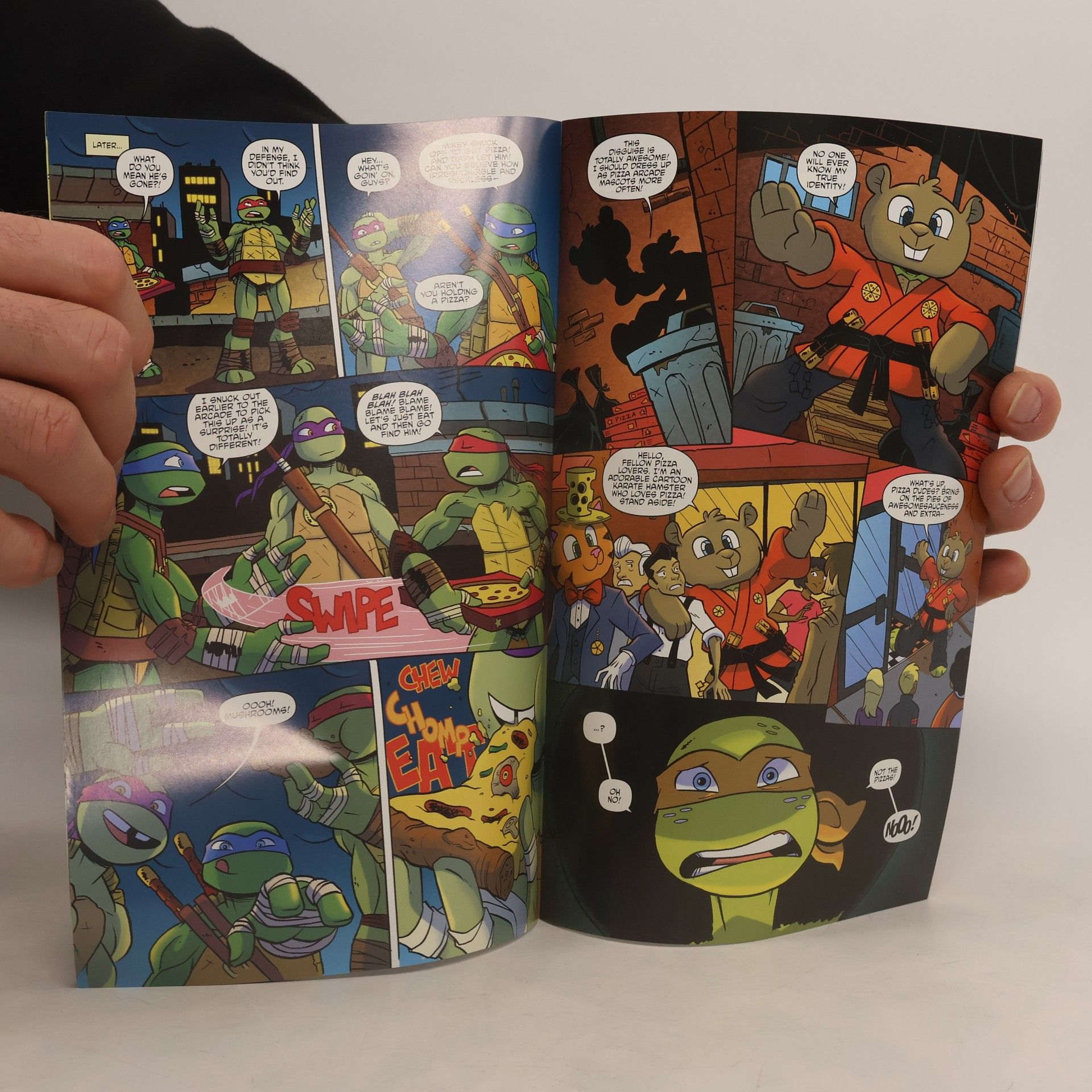 Kolektív autorov Teenage Mutant Ninja Turtles 19