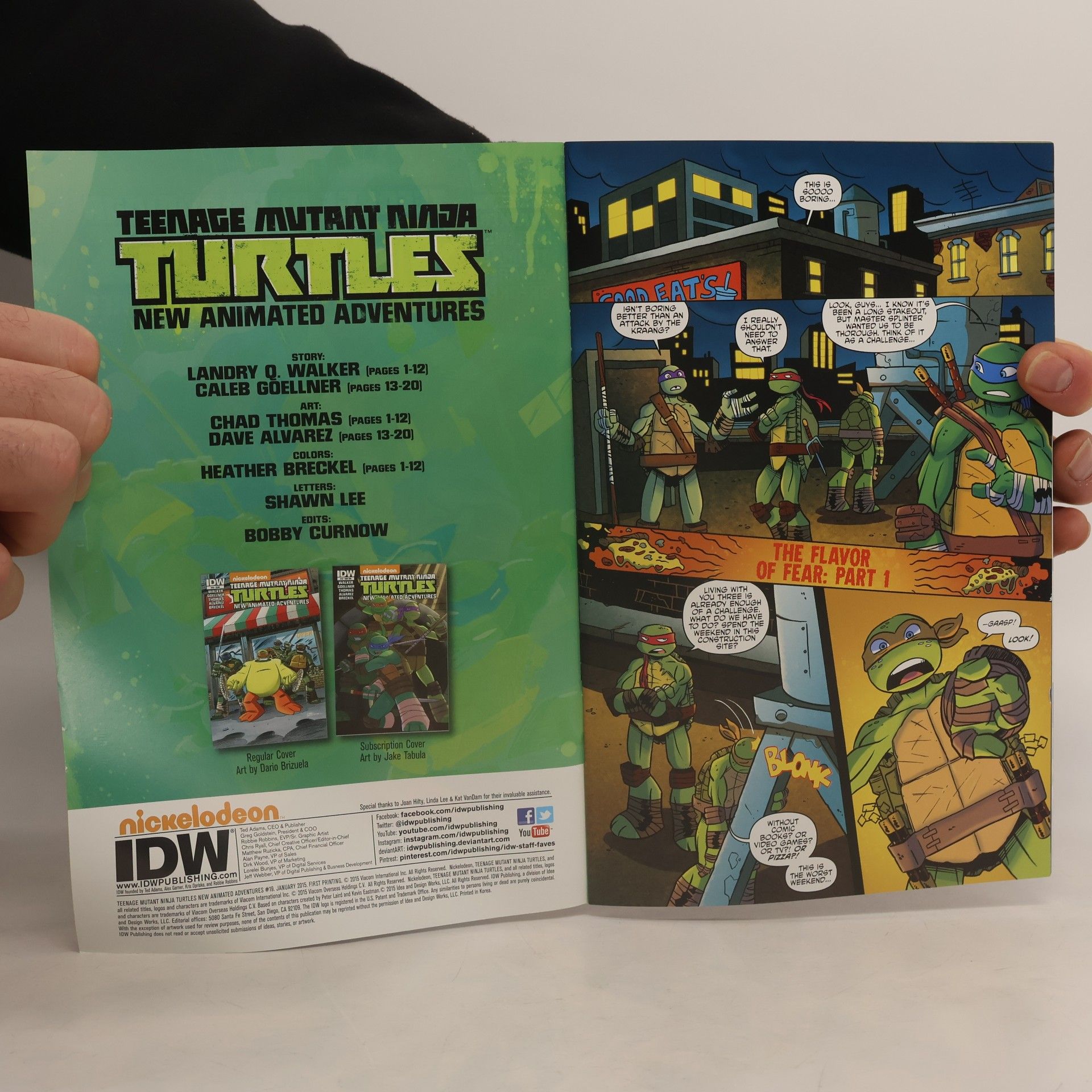 Kolektív autorov Teenage Mutant Ninja Turtles 19
