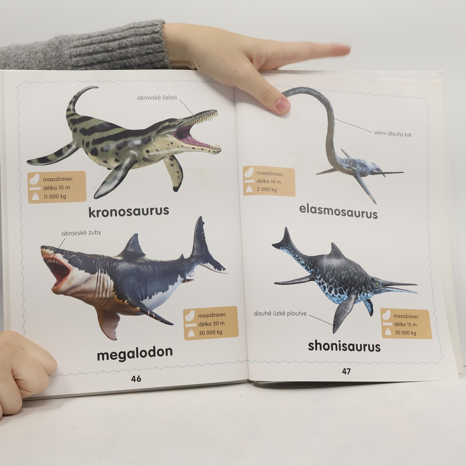Melanie Hibbert Moji první dinosauři
