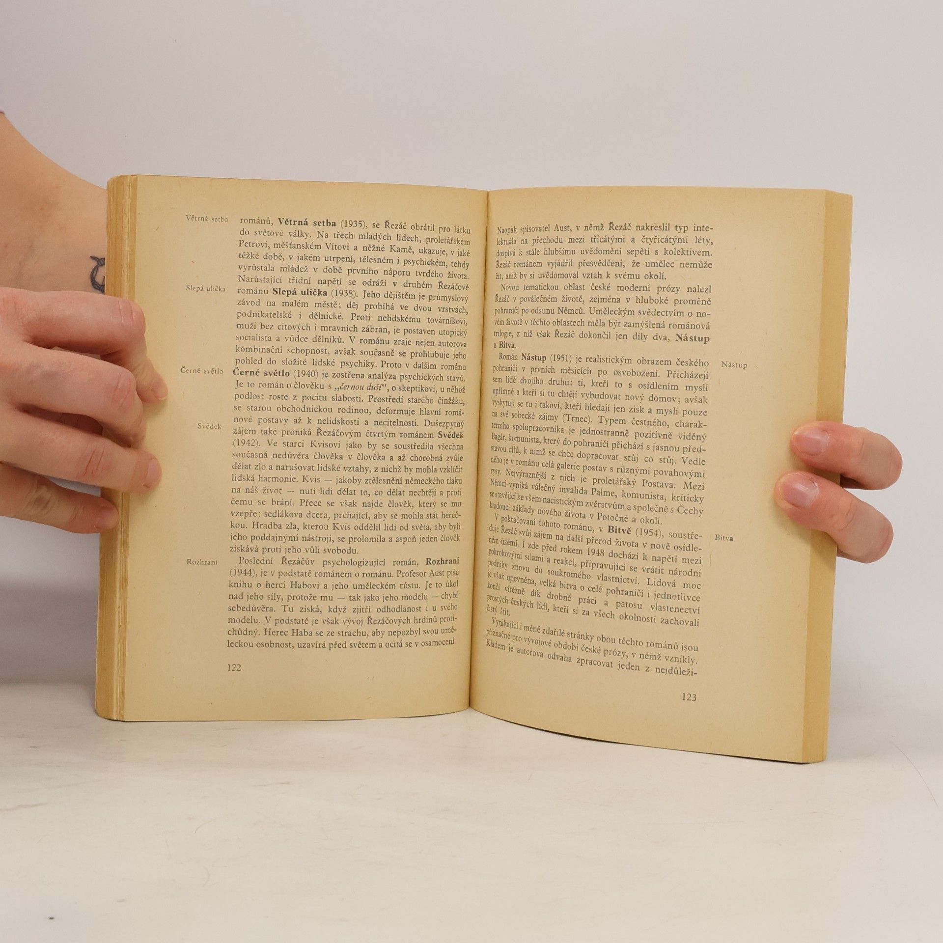 Ludvík Páleníček Rukověť české a slovenské literatury od roku 1918