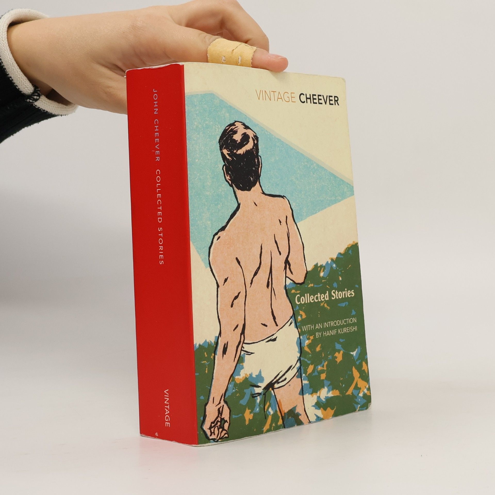 The stories of John Cheever