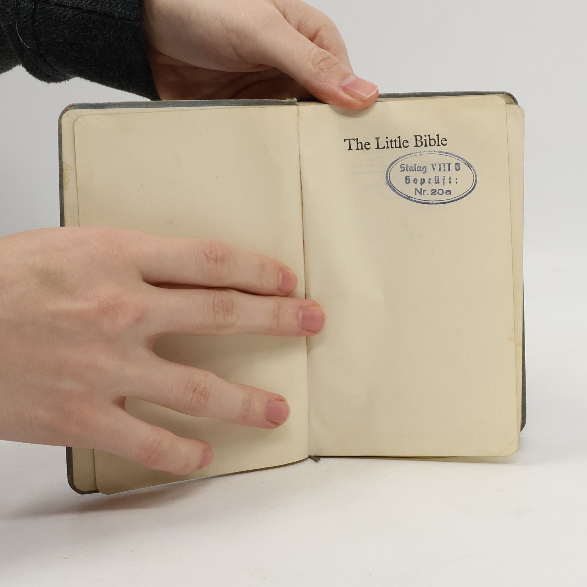 Autorenkollektiv The Little Bible