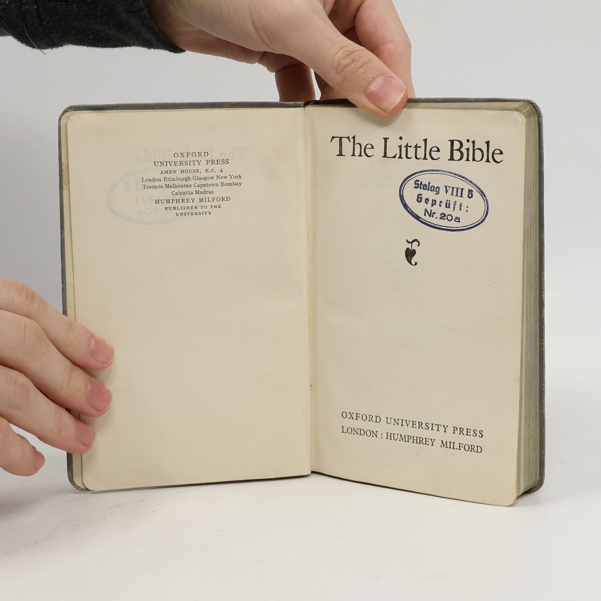 Autorenkollektiv The Little Bible
