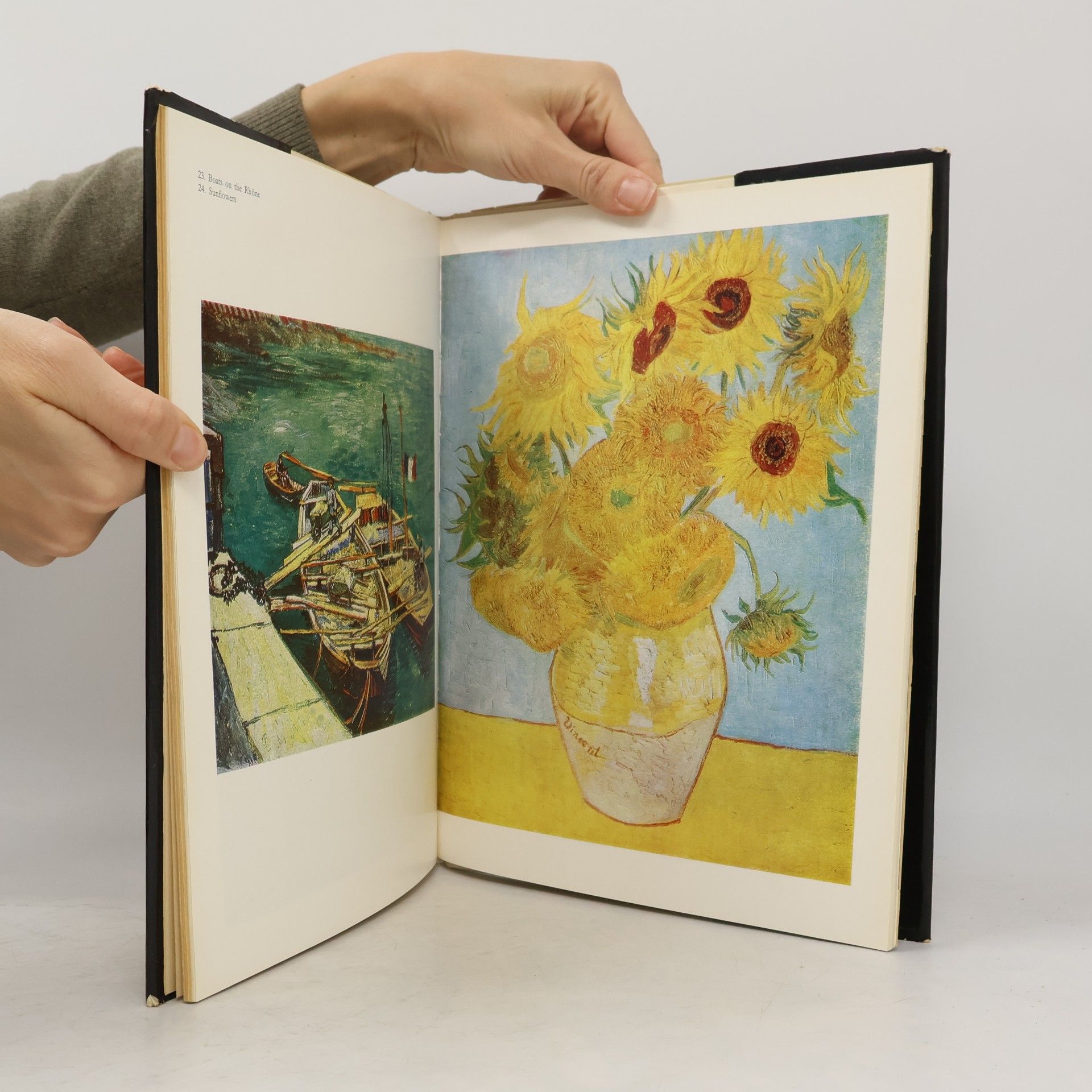 Viorica Guy Marica Van Gogh
