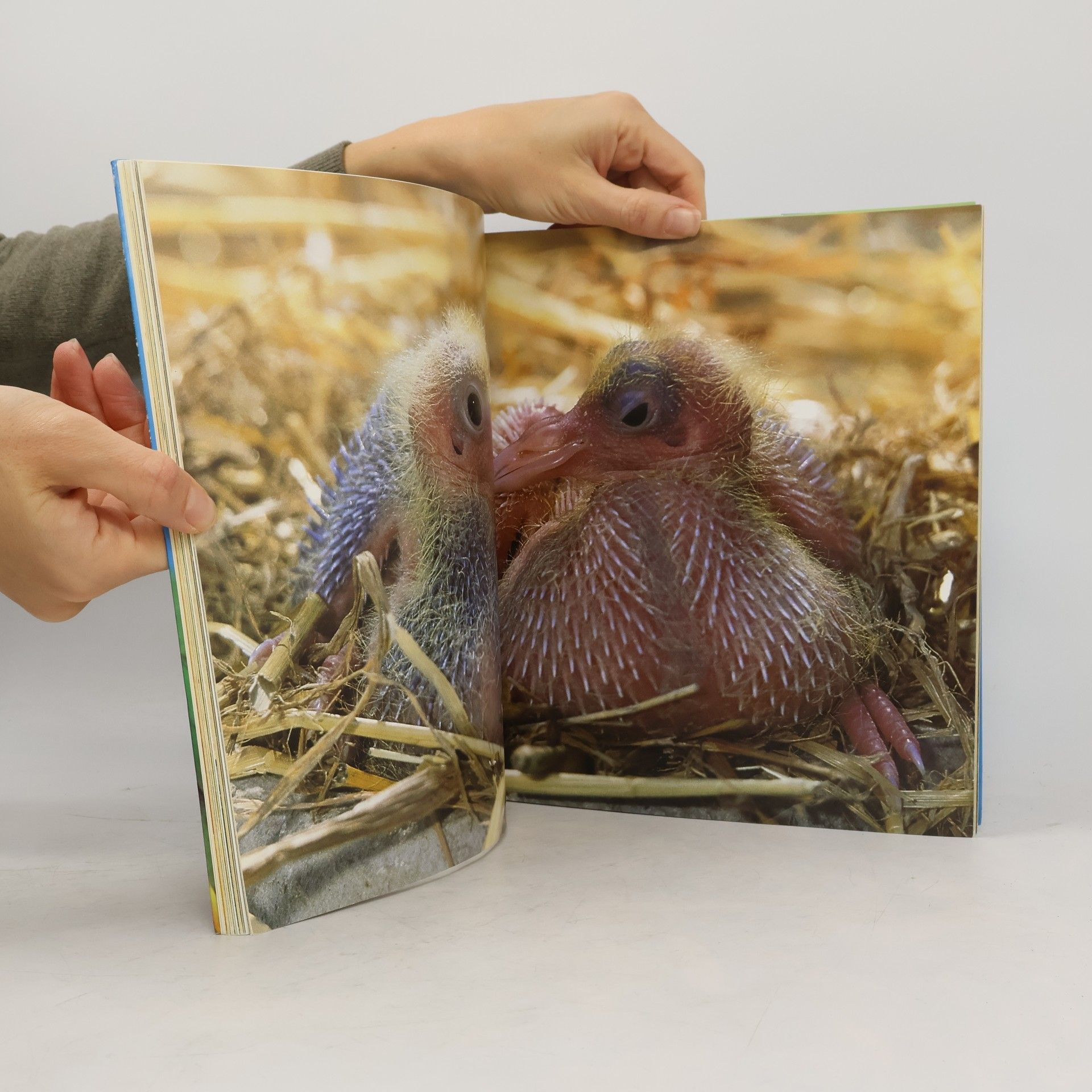 Isabelle Masson-Deblaize Le Grand Livre des animaux de la ferme
