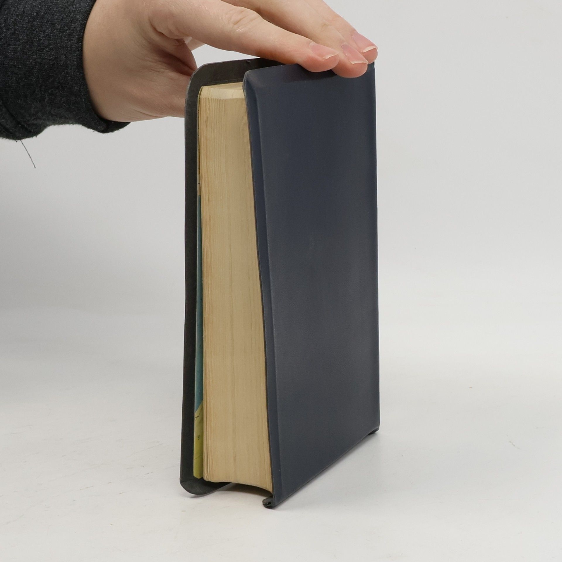 Kolektiv autorů Bible svatá aneb Všecka svatá písma Starého i Nového zákona