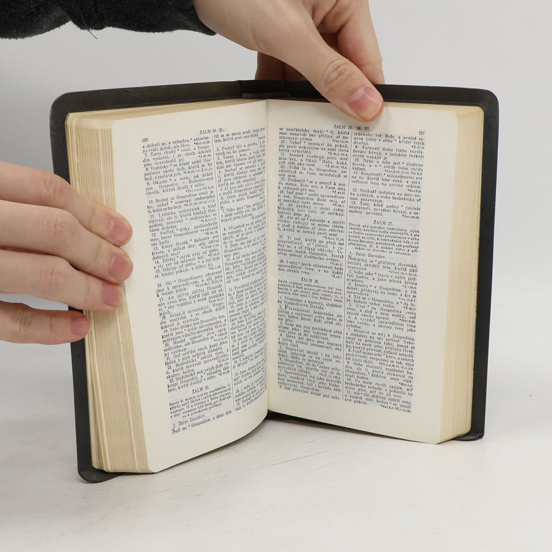 Kolektiv autorů Bible svatá aneb Všecka svatá písma Starého i Nového zákona