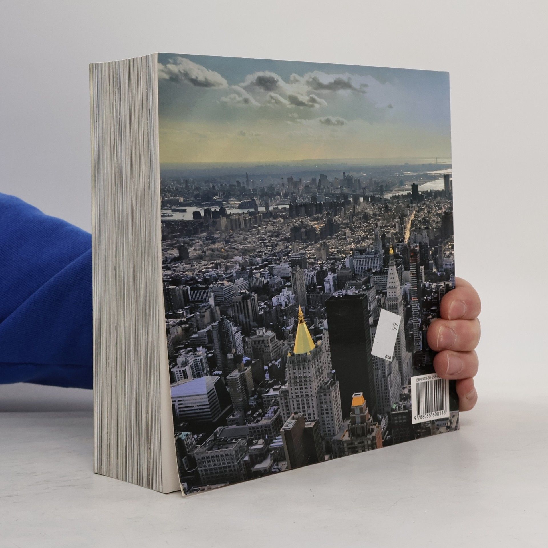Various authors New York Architecture