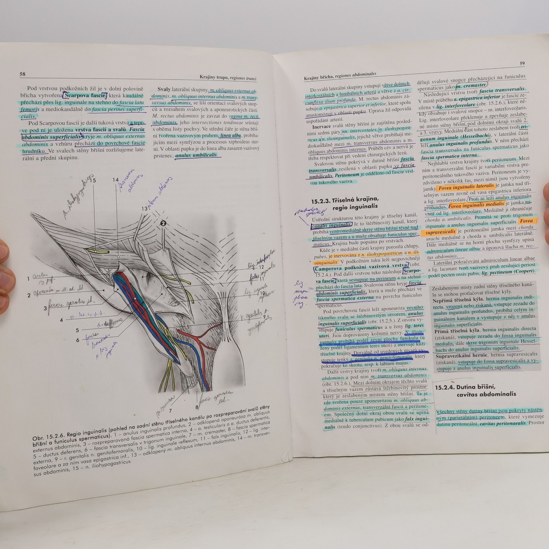 Miloš Grim Základy anatomie. 5., Anatomie krajin těla