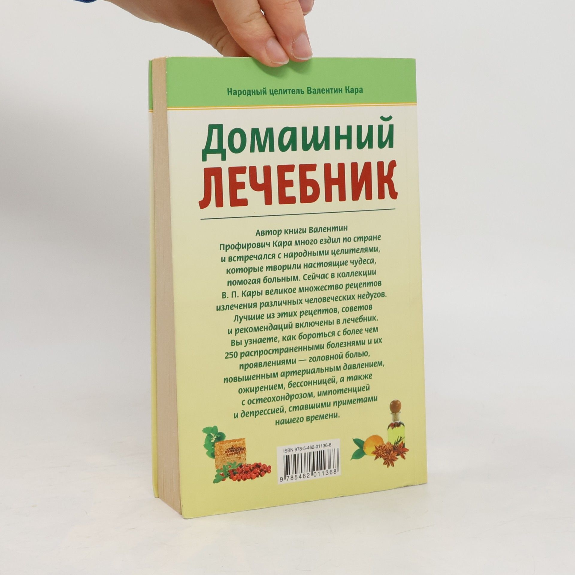 Валентин Профирович Кара Домашний лечебник