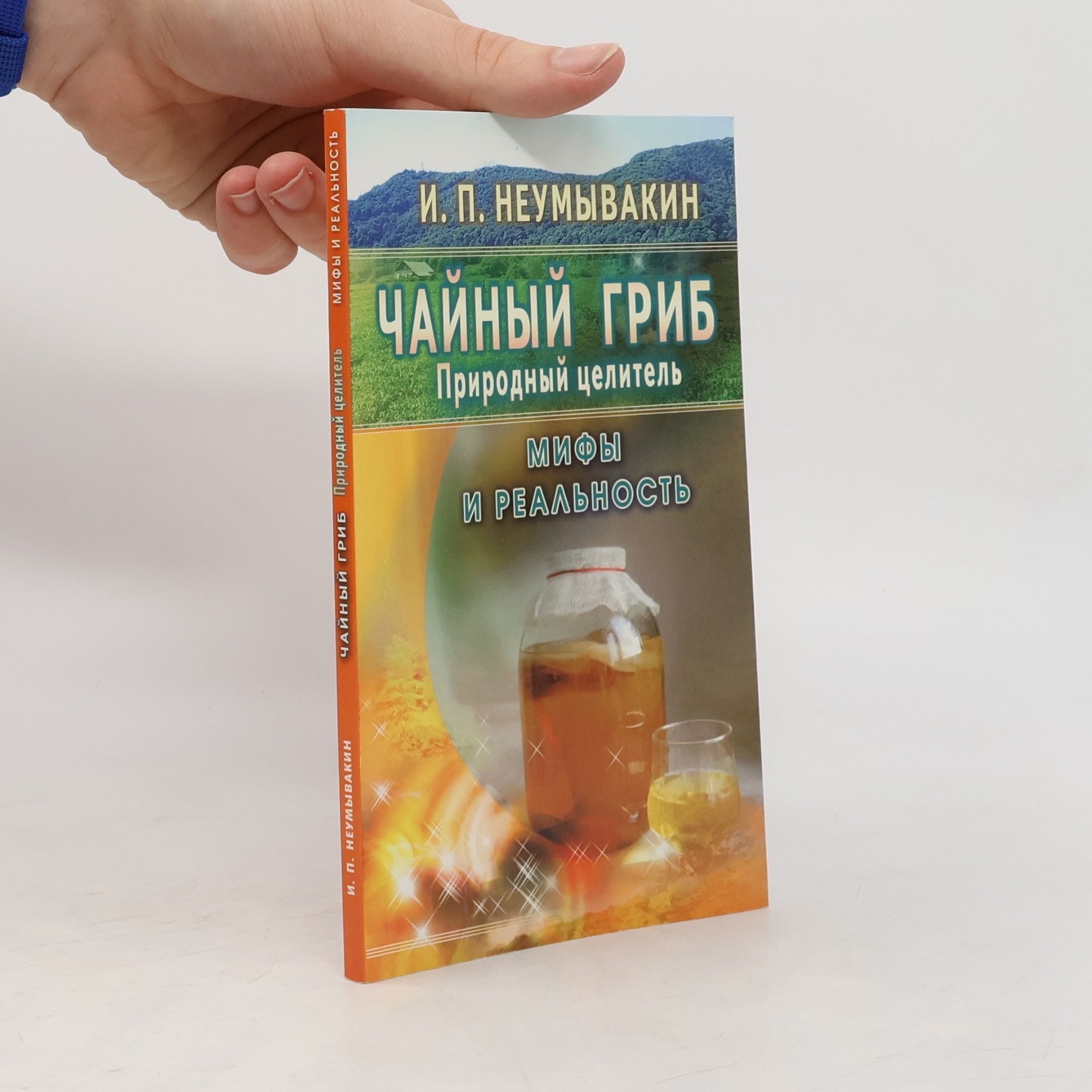 Чайный гриб-природный целитель