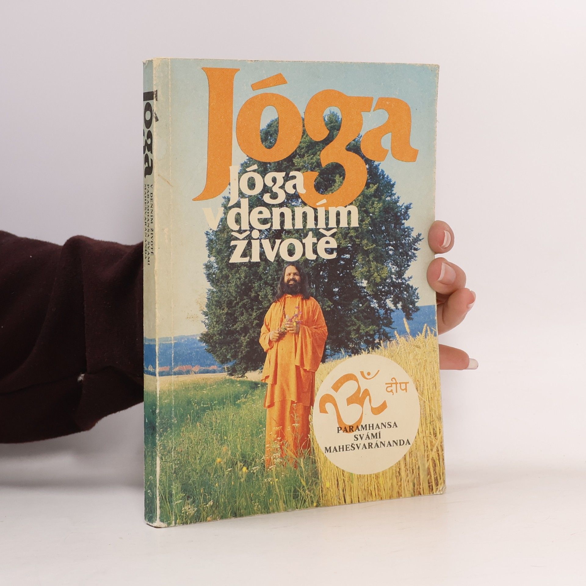 Swami Maheshwarananda Jóga v denním životě i. - mahešvaránanda paramhansa svámí