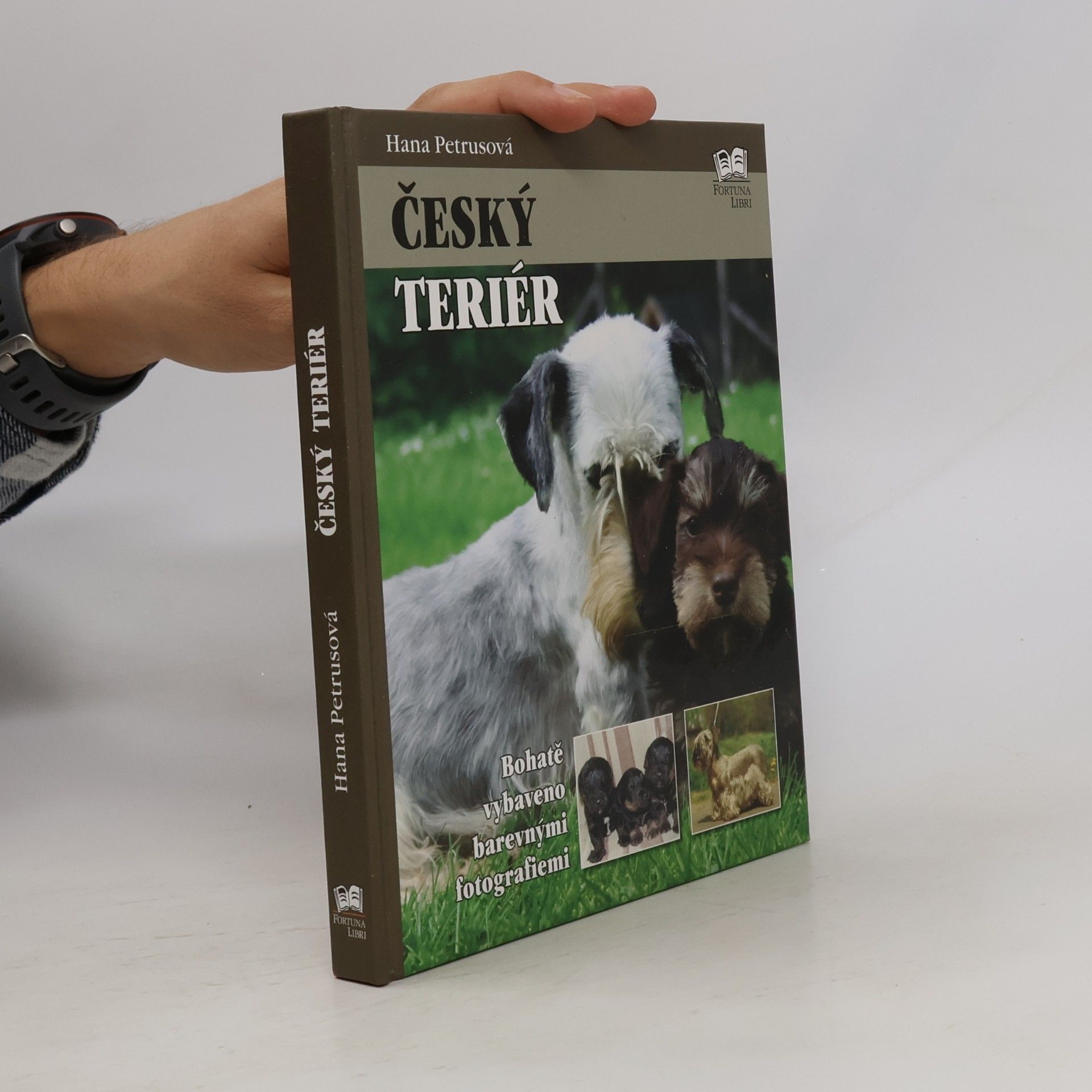 Hana Petrusová Český teriér