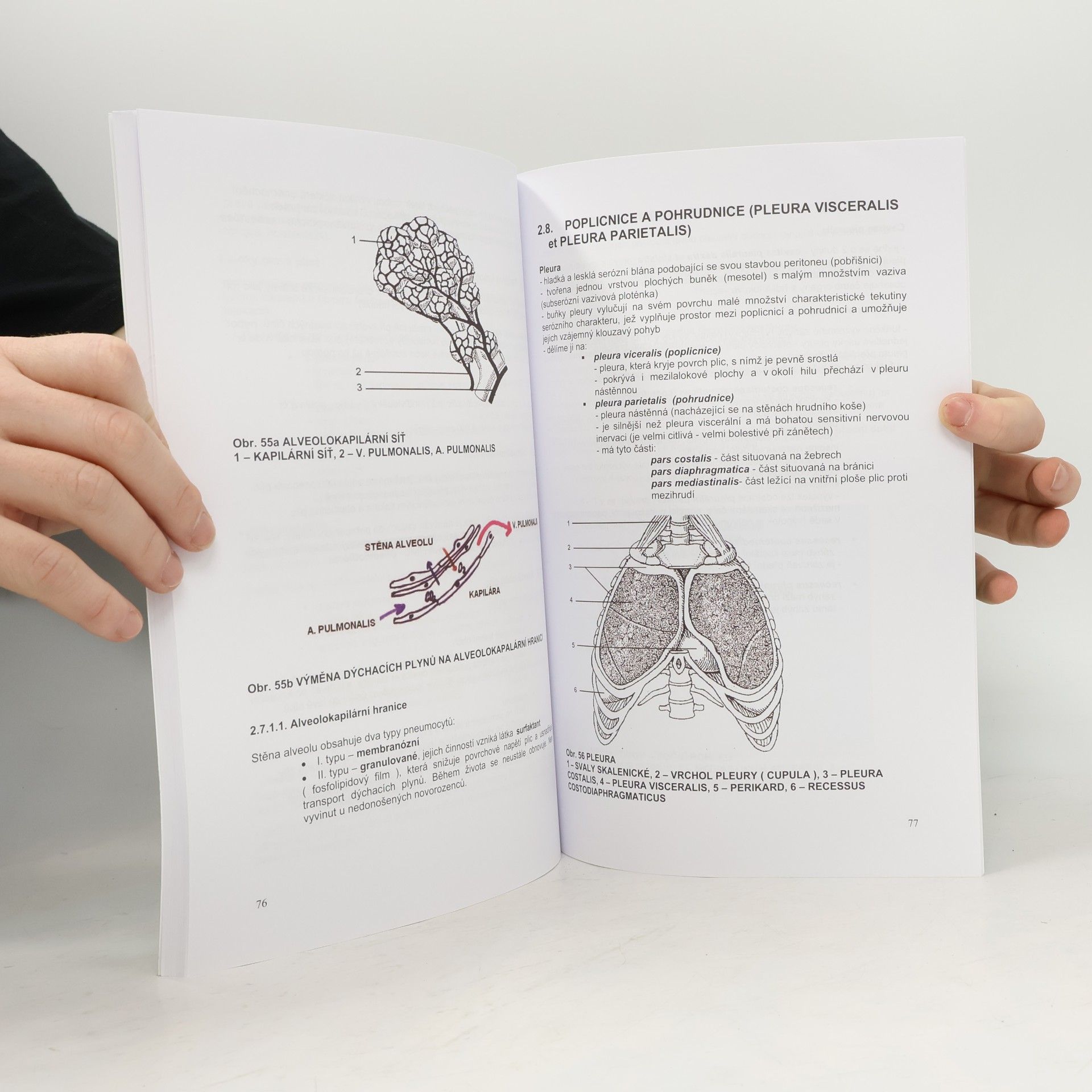 Otto Kott Vybrané kapitoly anatomie gastrointestinálního a respiračního systému