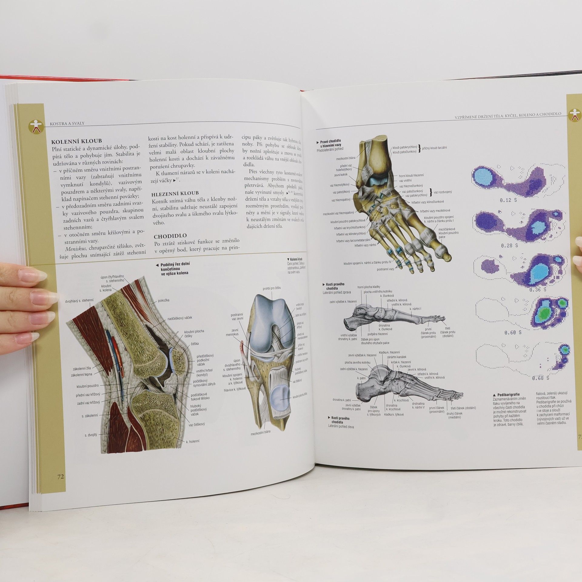 Manuel Fernando Silva Lidské tělo – Ilustrovaný atlas