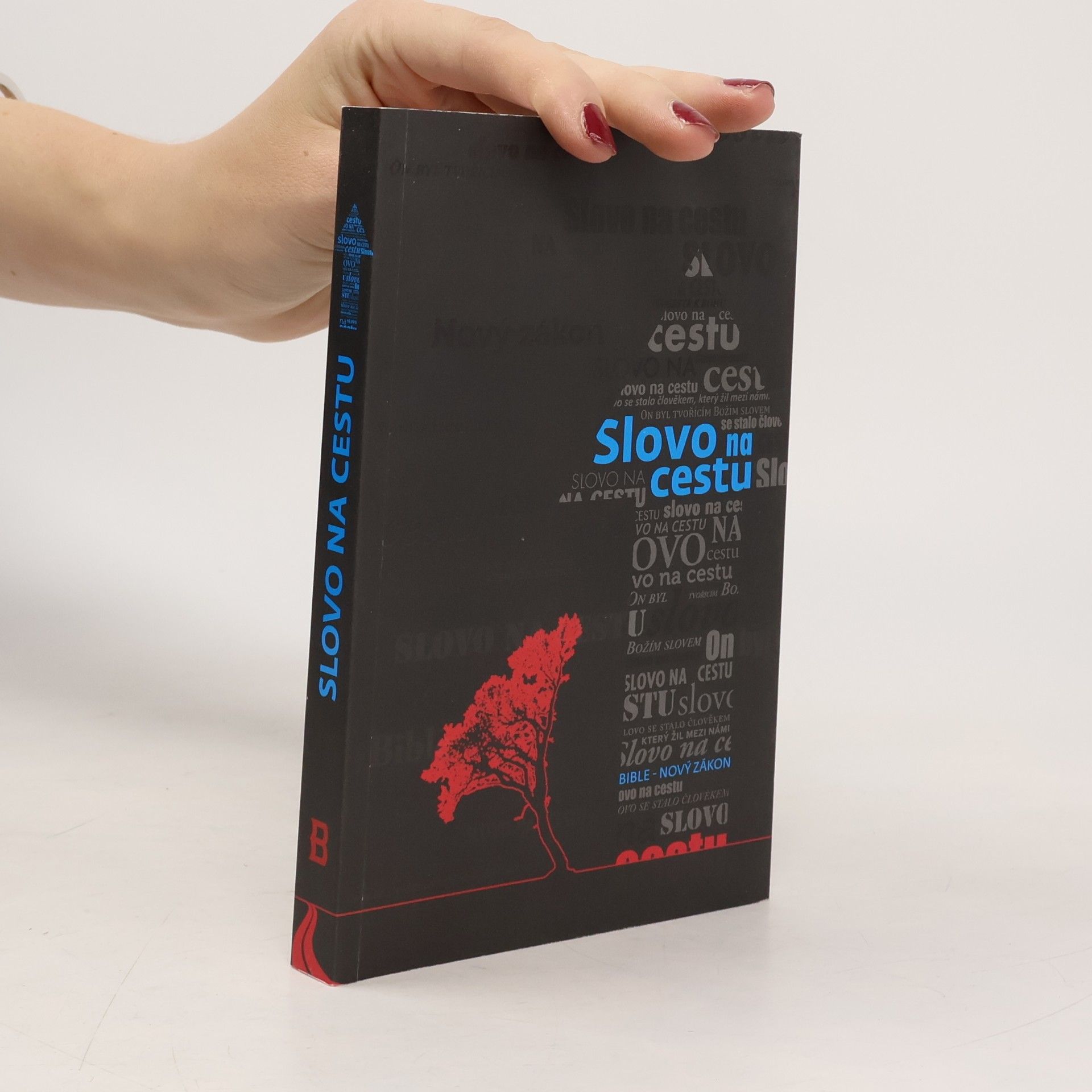 Kolektiv autorů Slovo na cestu