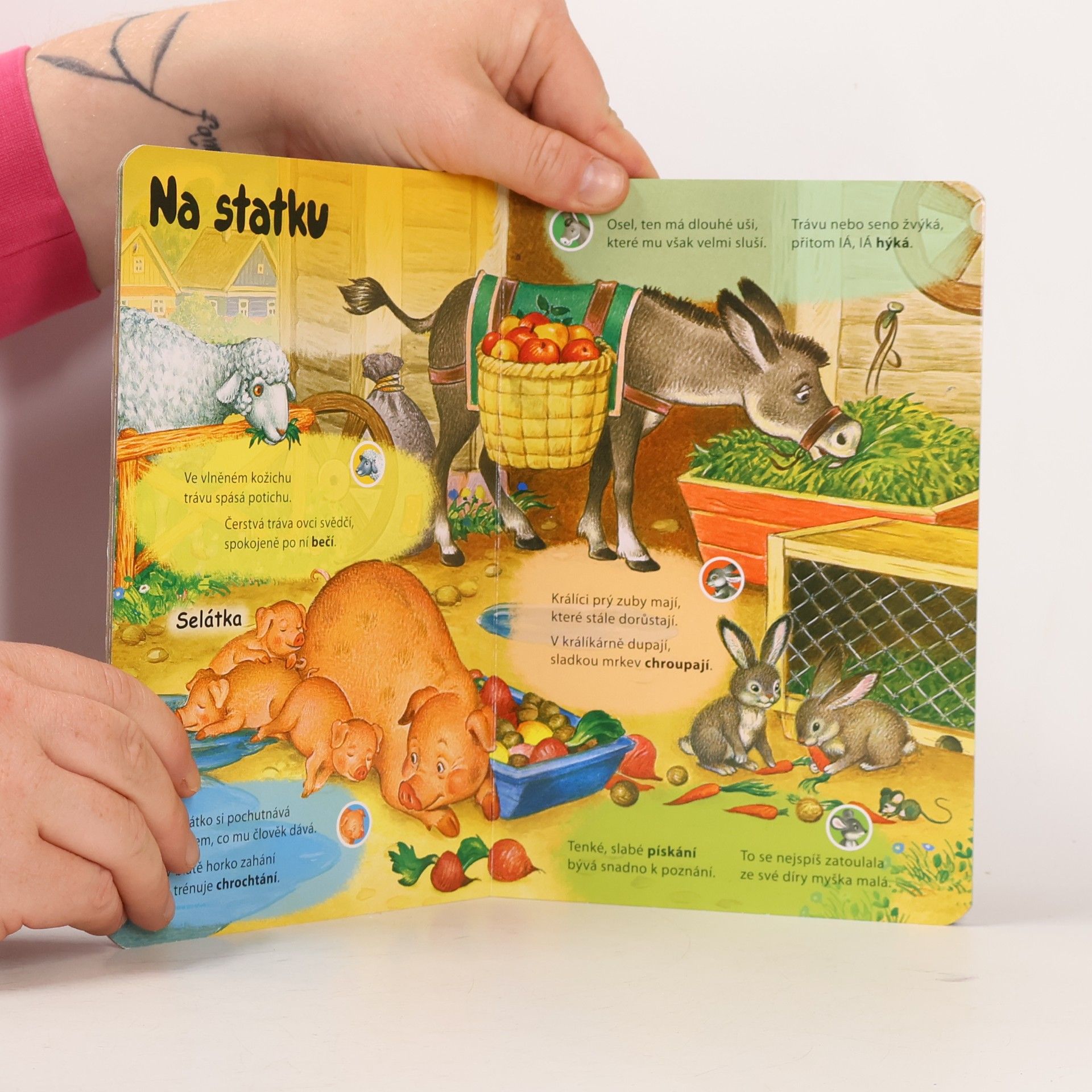 Various authors Víš, jak mluví zvířátka?
