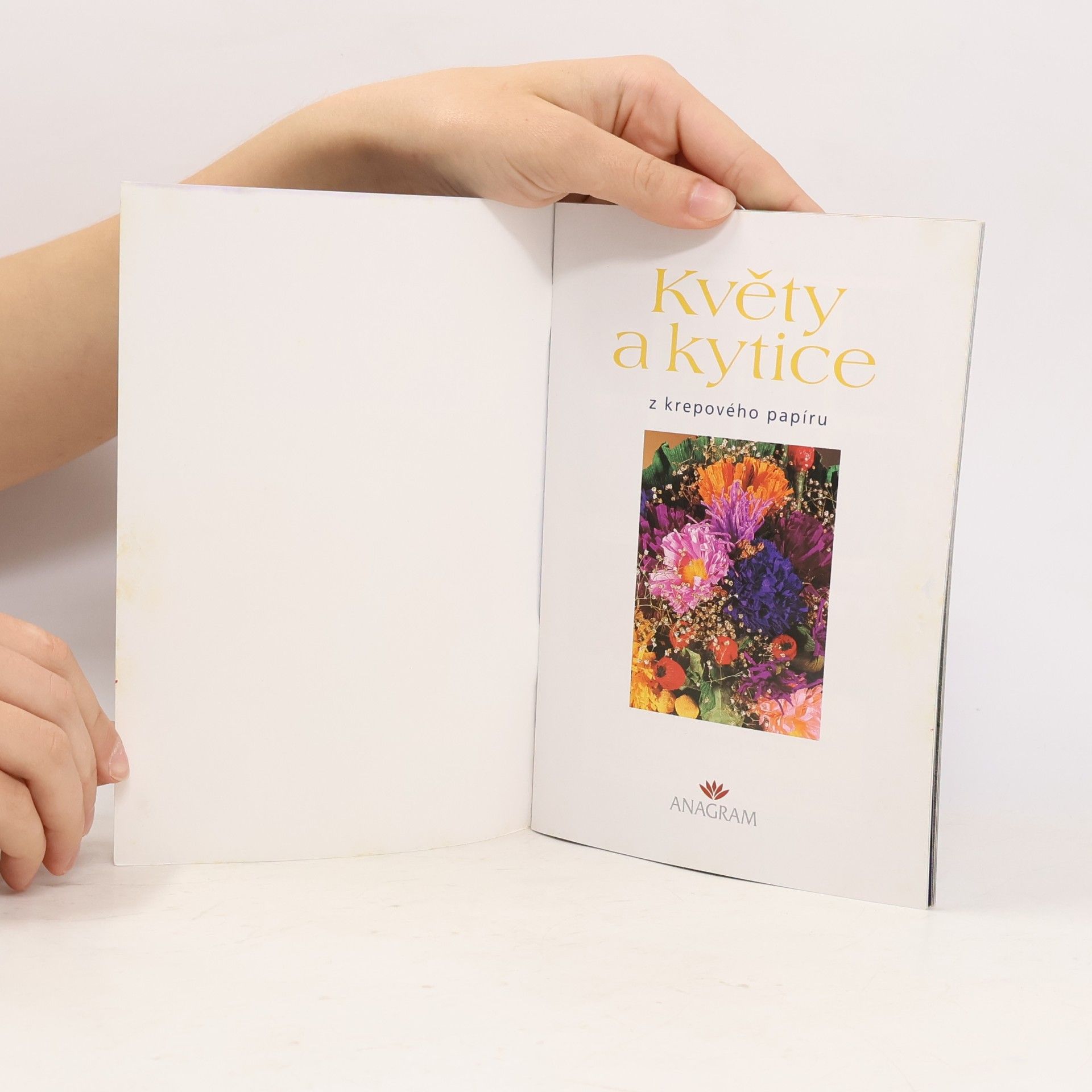 Kolektiv autorů Květy a kytice z krepového papíru