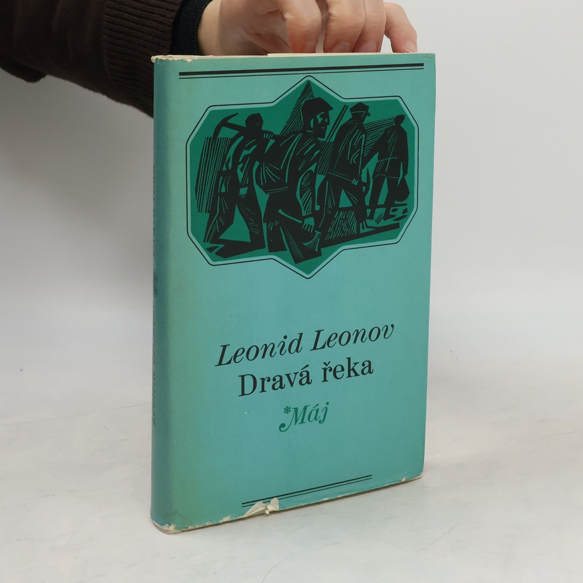 Dravá řeka
