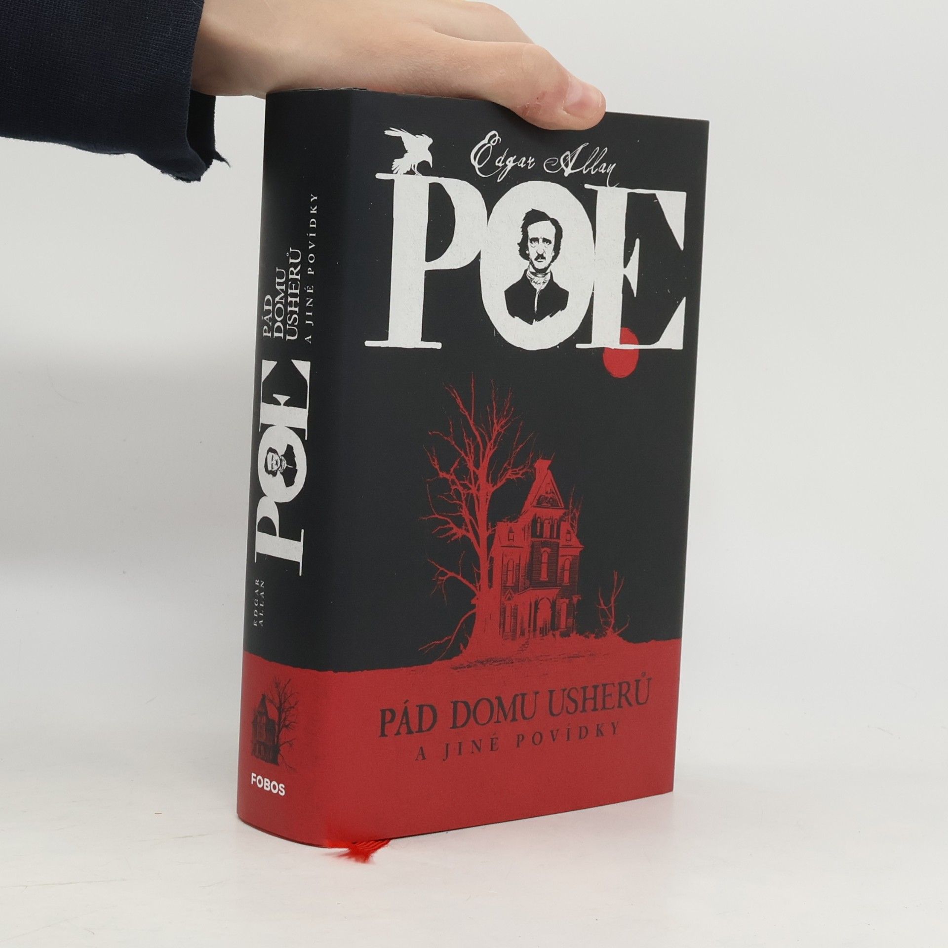 Edgar Allan Poe Pád Domu Usherů a jiné povídky