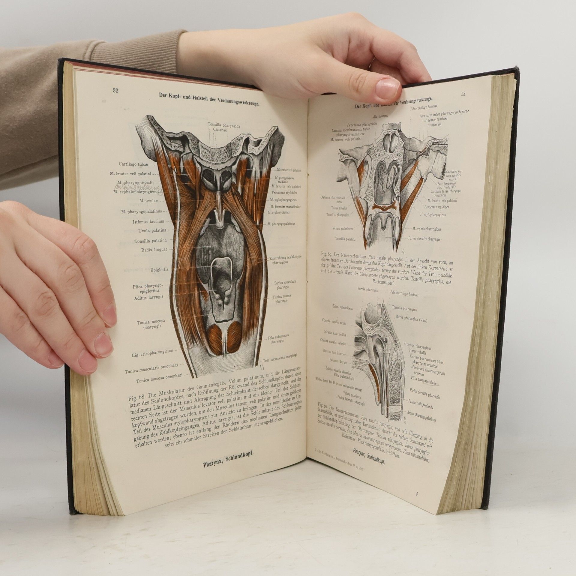 Carl Toldt Toldtův anatomický atlas