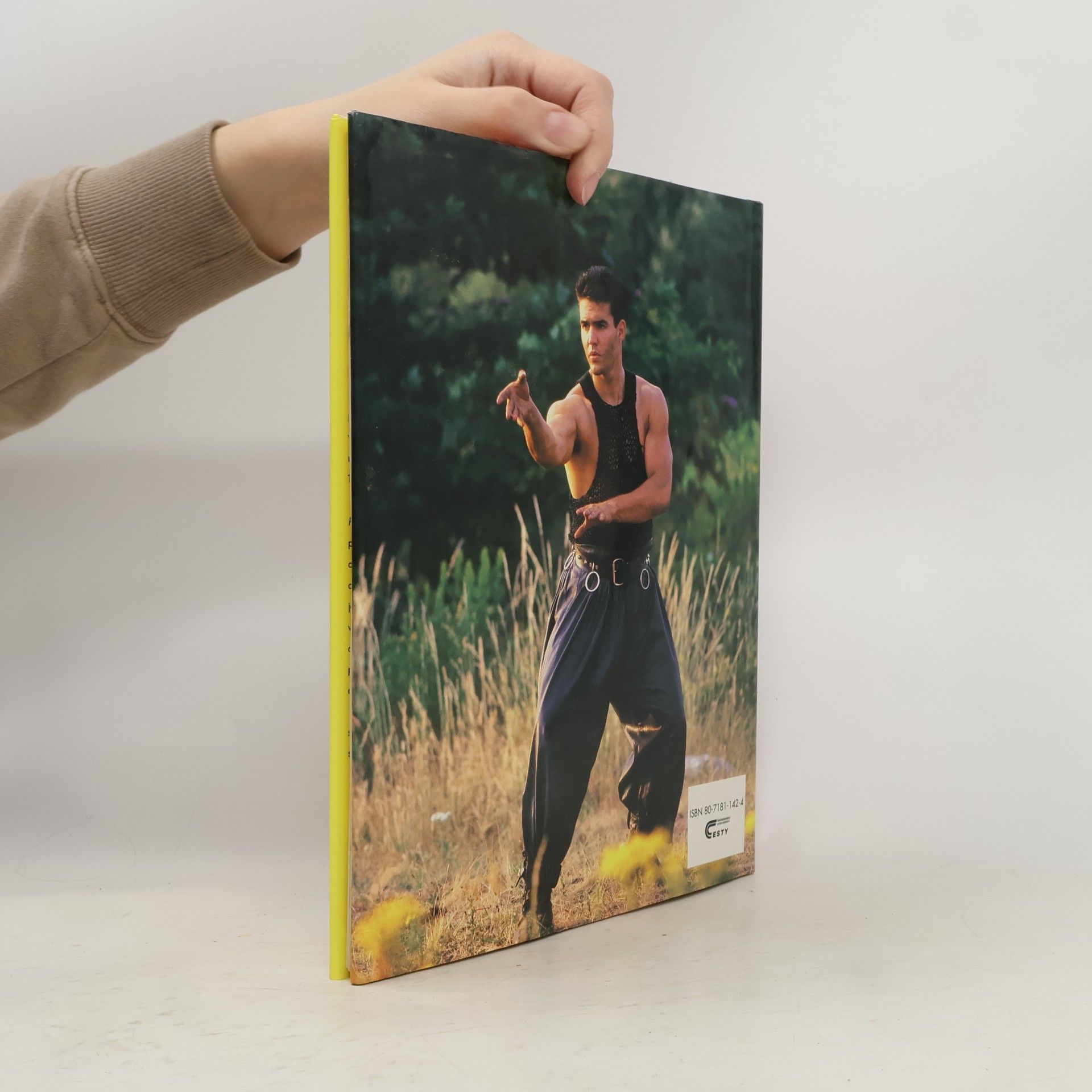 Austin St John Bojovník karate: Průvodce bojovým uměním