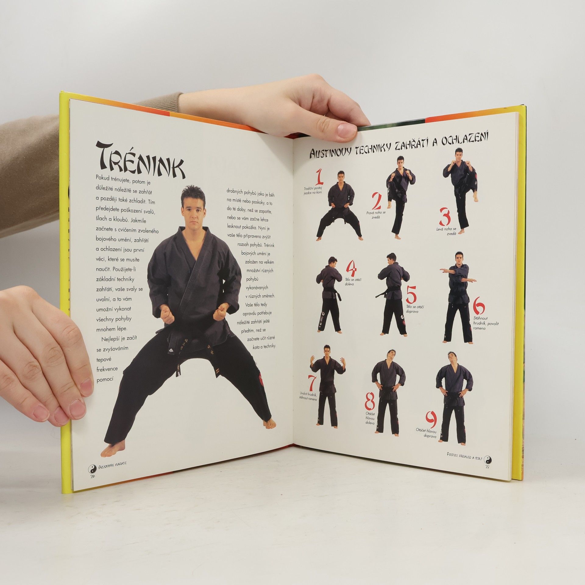 Austin St John Bojovník karate: Průvodce bojovým uměním