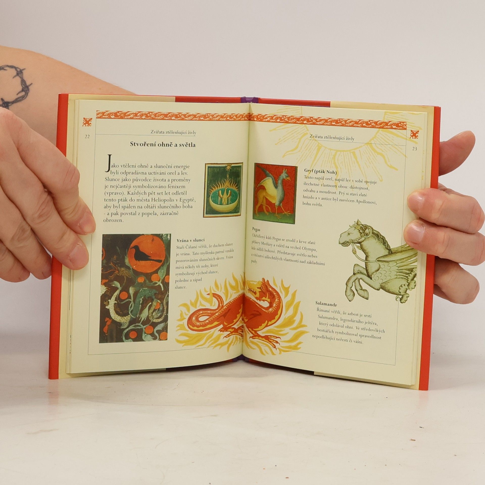Autorenkollektiv Draci a bájná stvoření