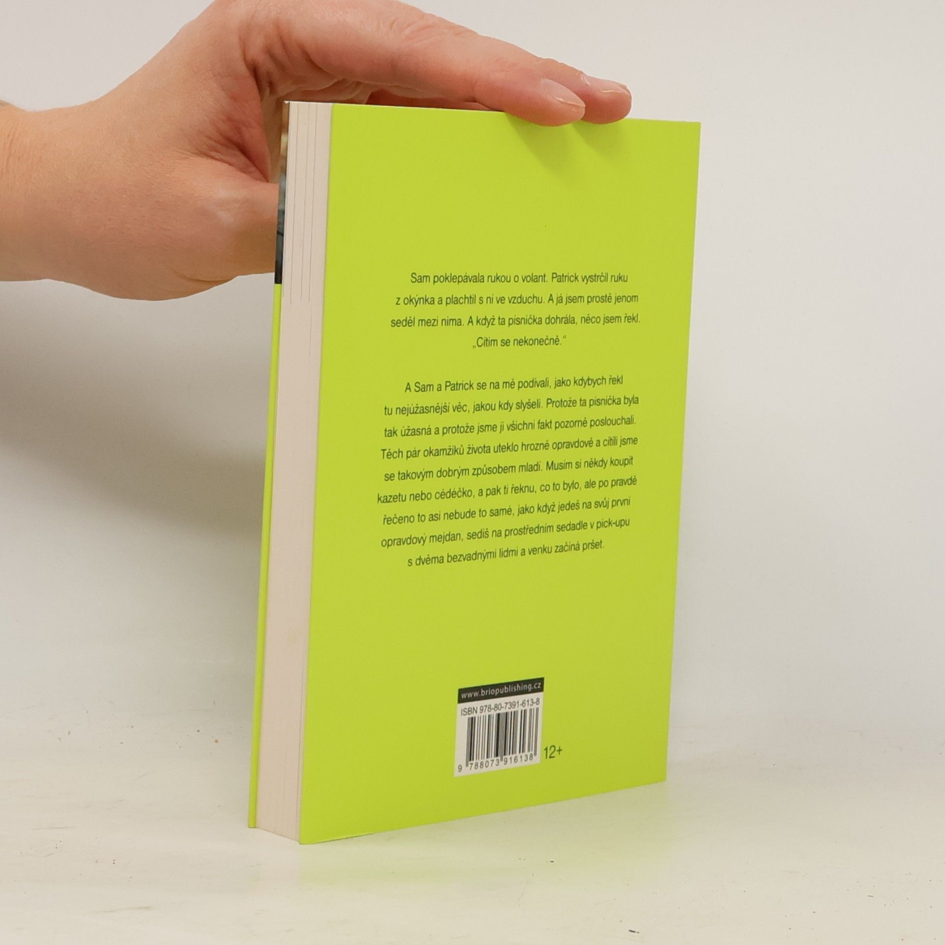 Stephen Chbosky Ten, kdo stojí v koutě