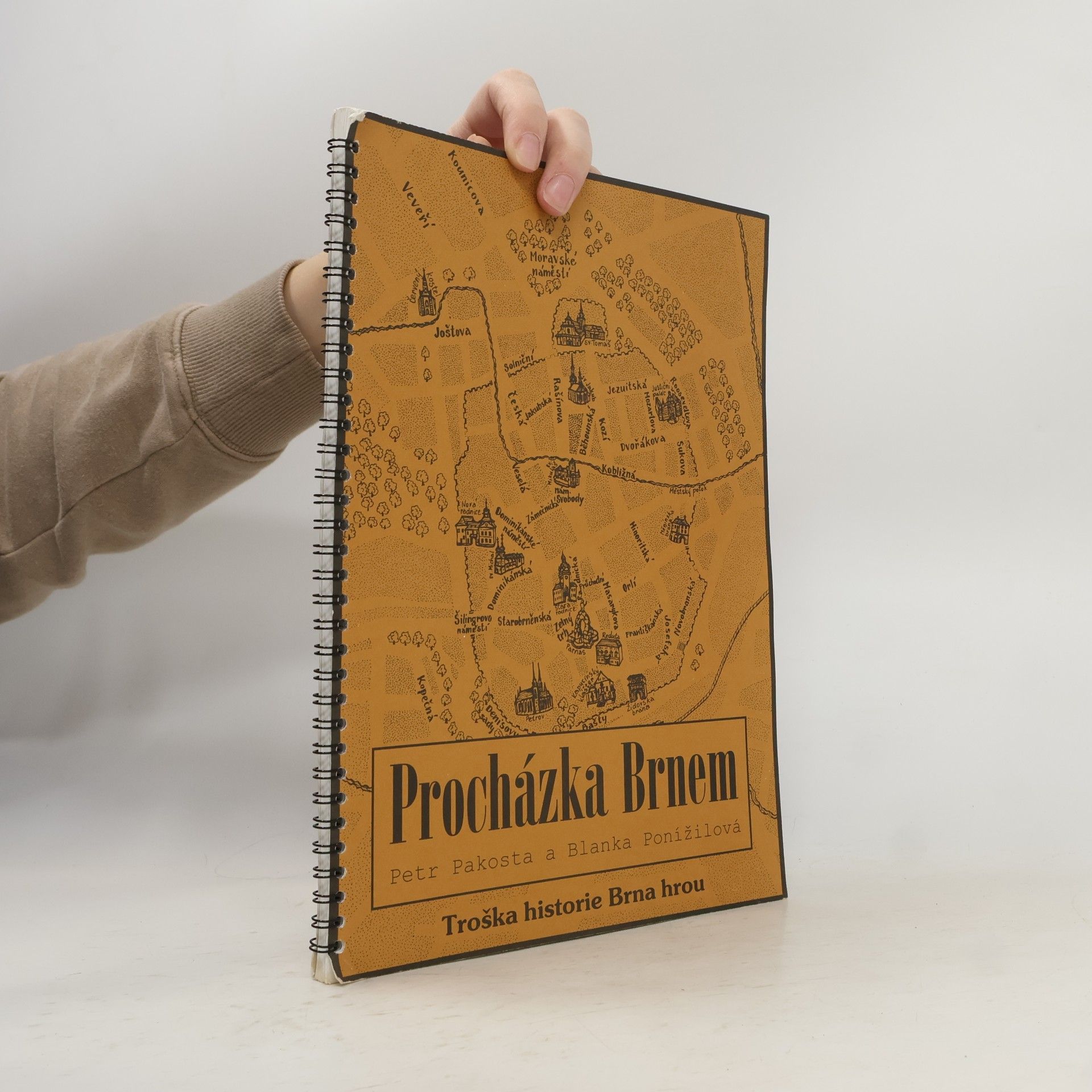 Procházka Brnem