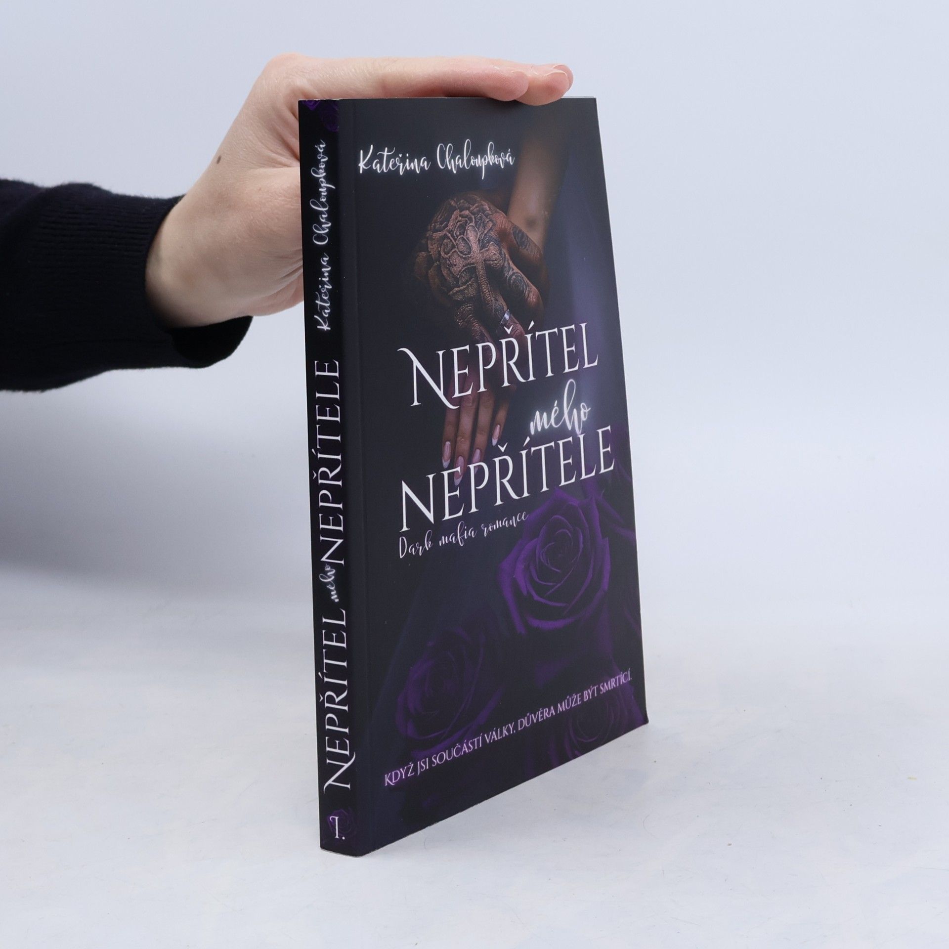 Nepřítel mého nepřítele
