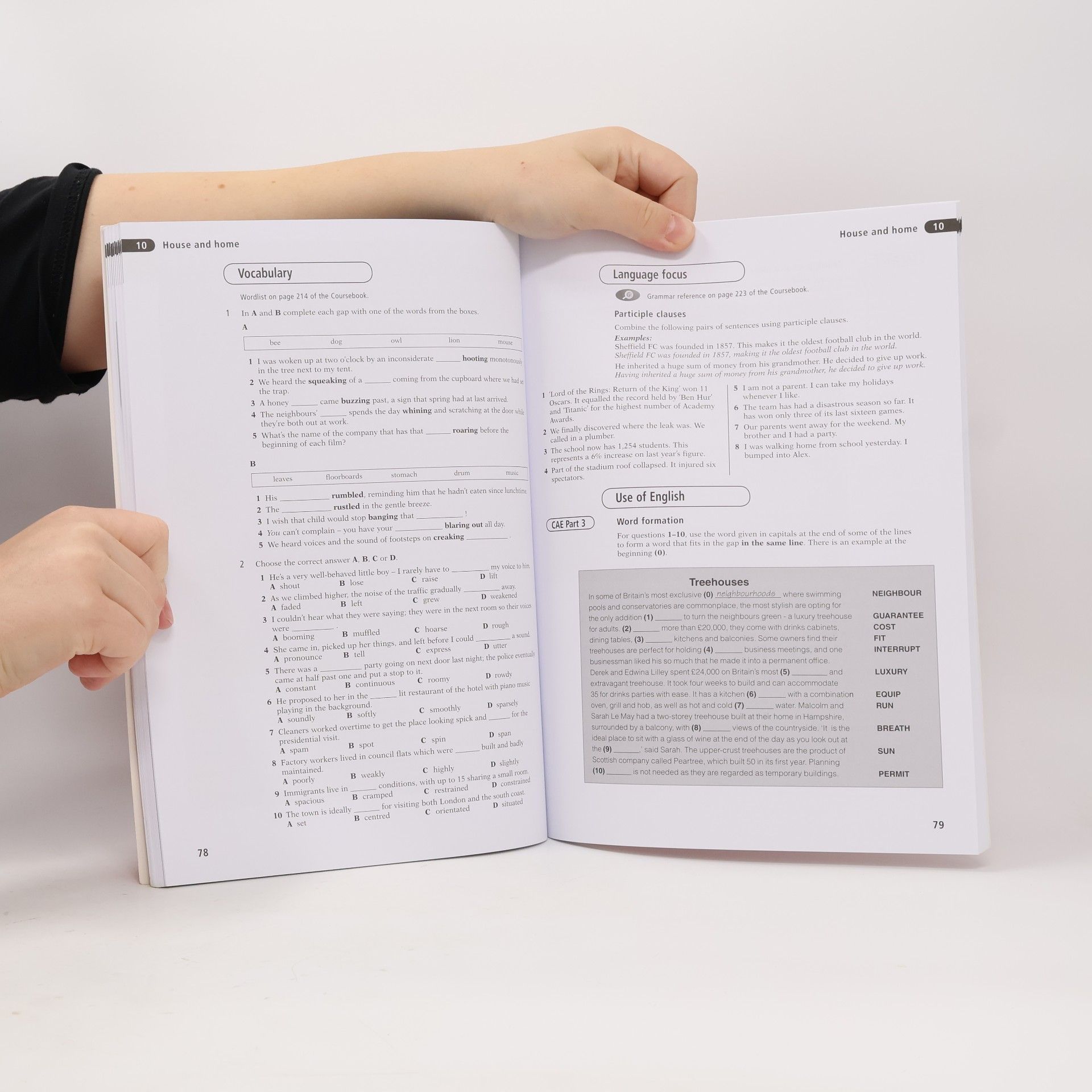 Roy Norris Ready for CAE: Workbook with Key